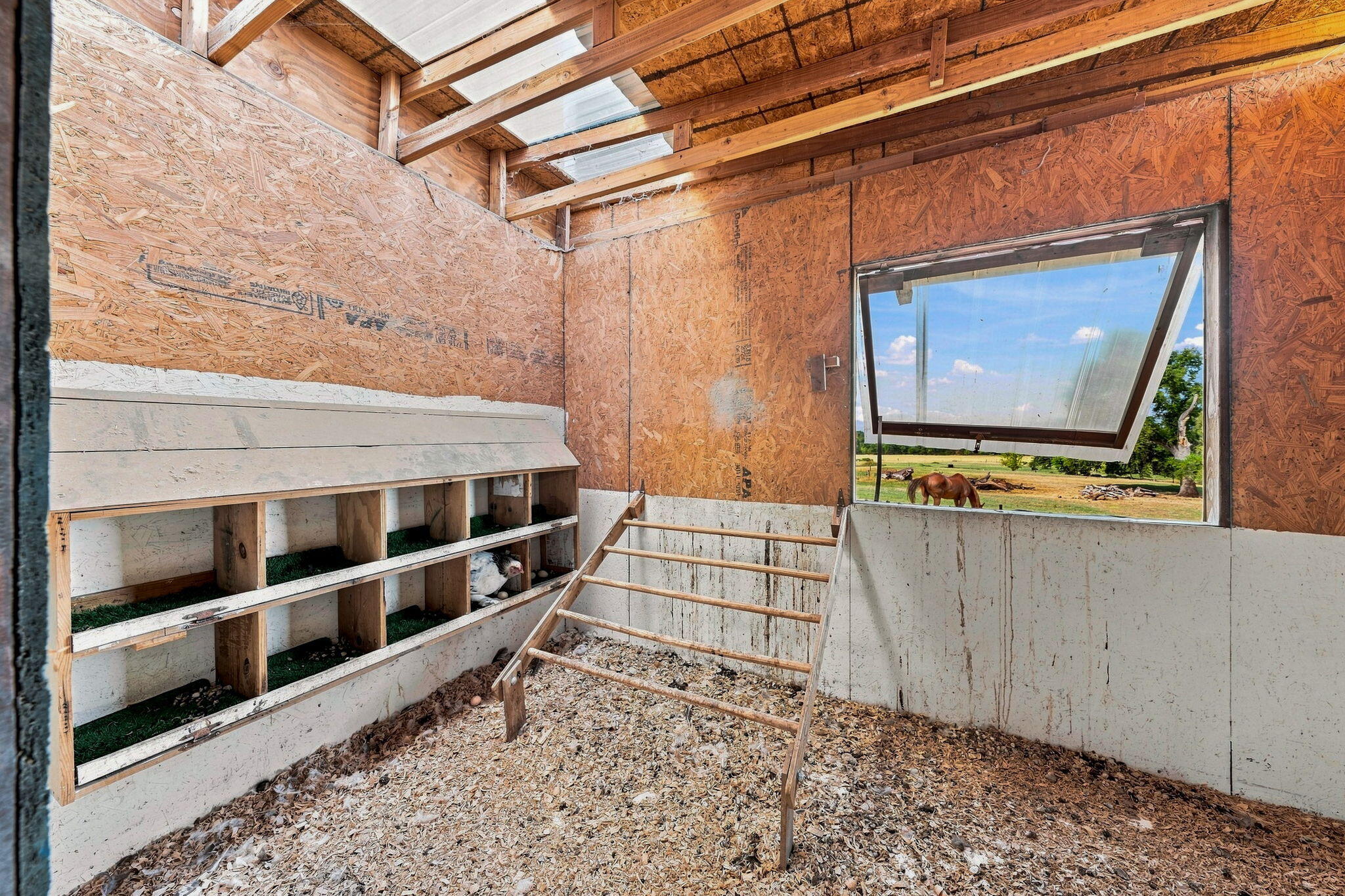 main property photo 68