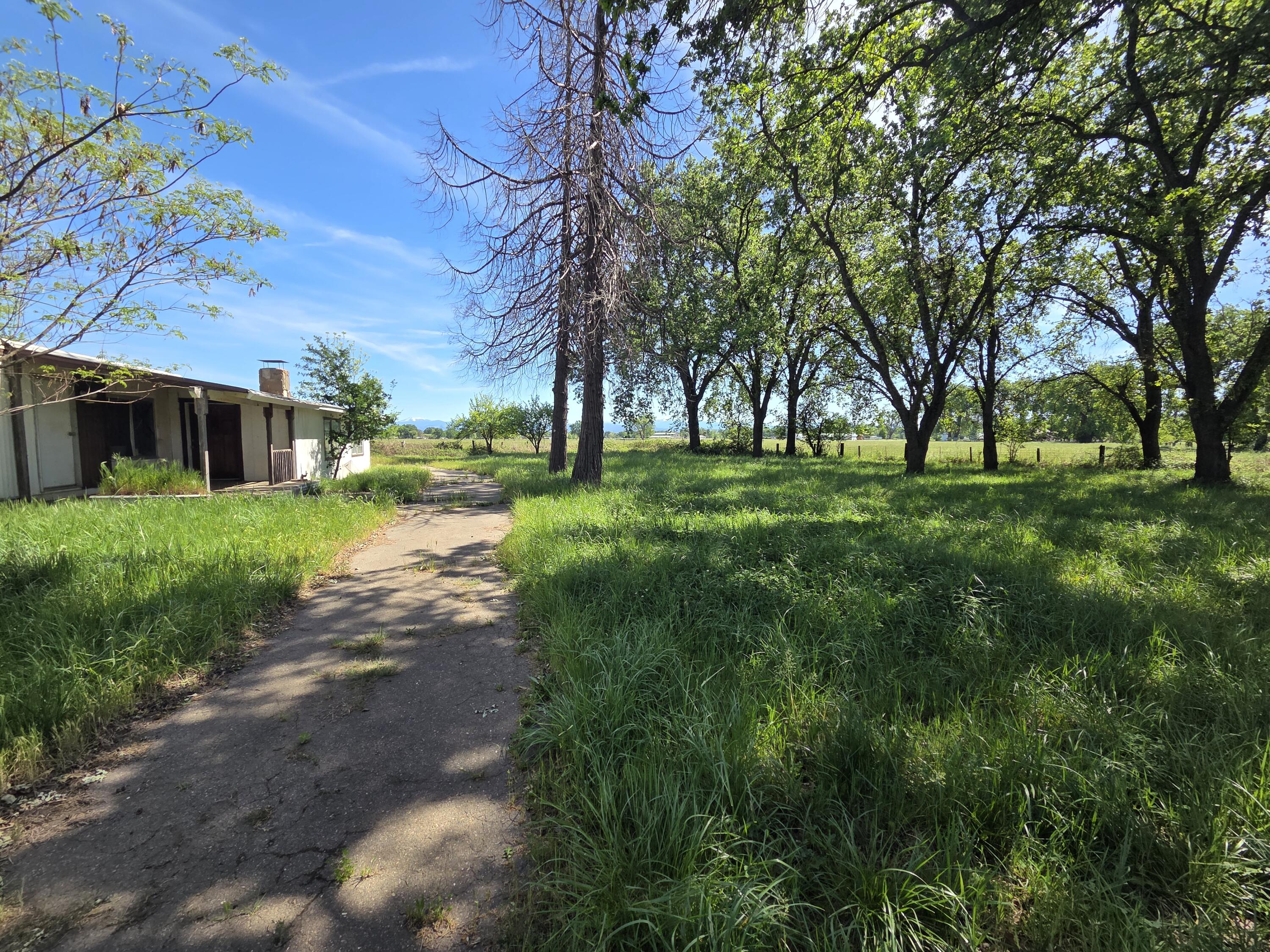 main property photo 4
