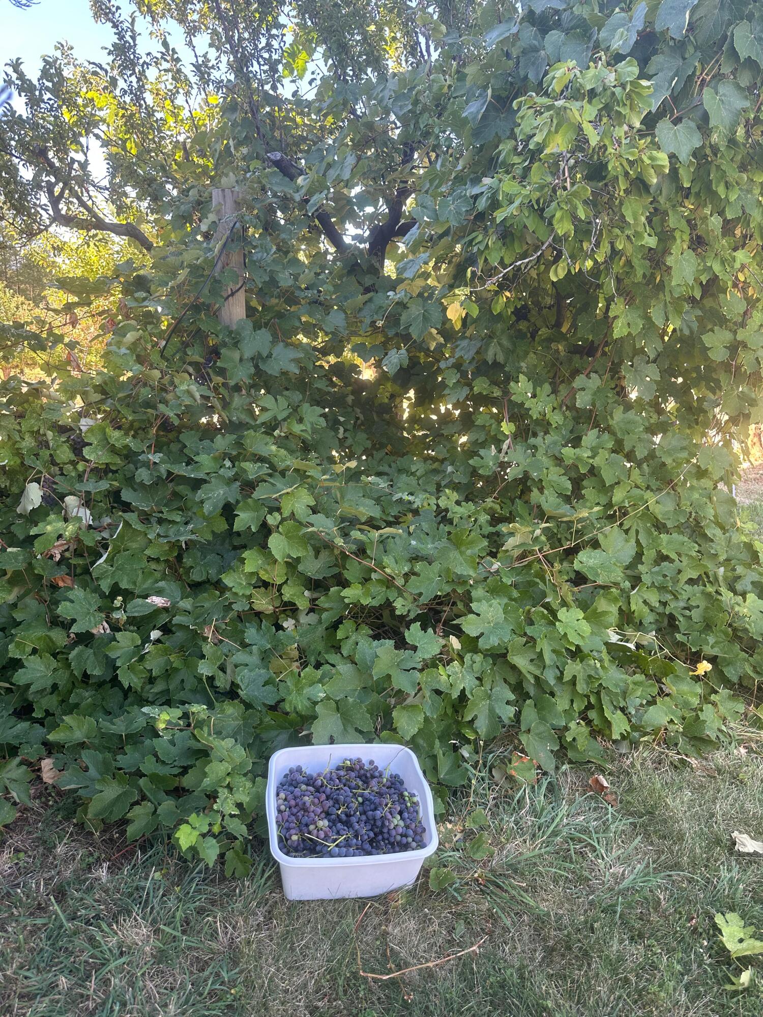 main property photo 36