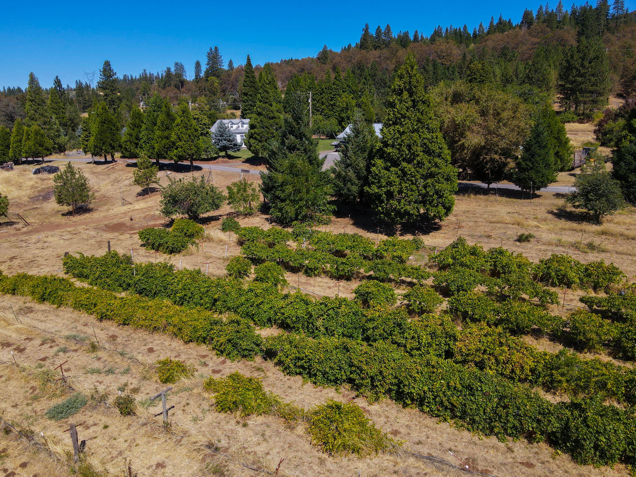 main property photo 53