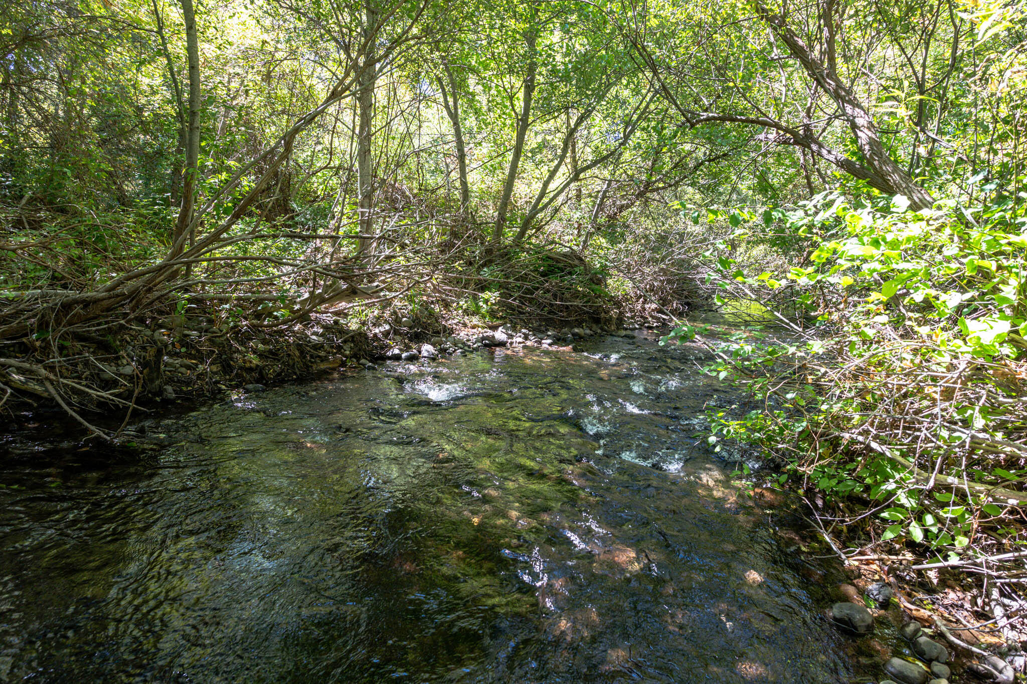 main property photo 56