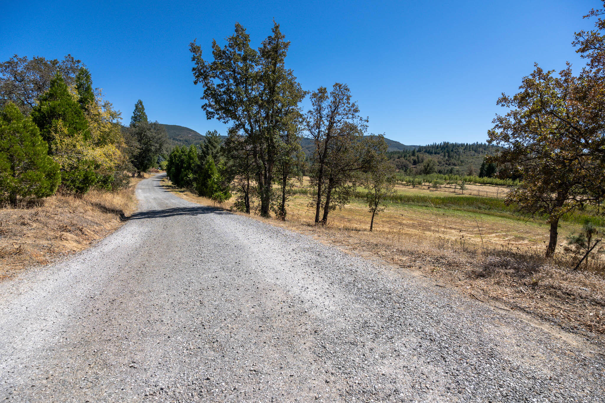main property photo 57