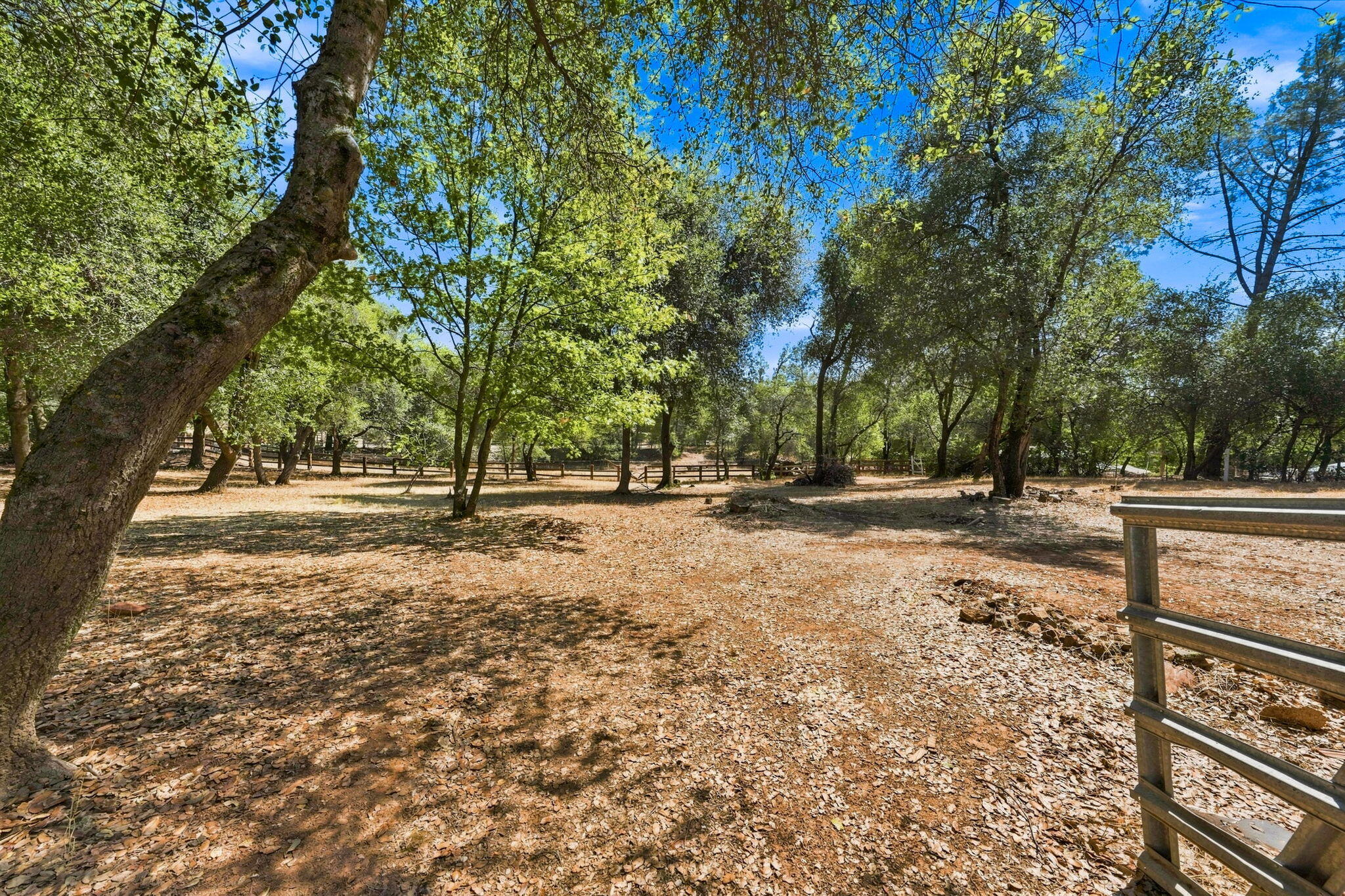 main property photo 45