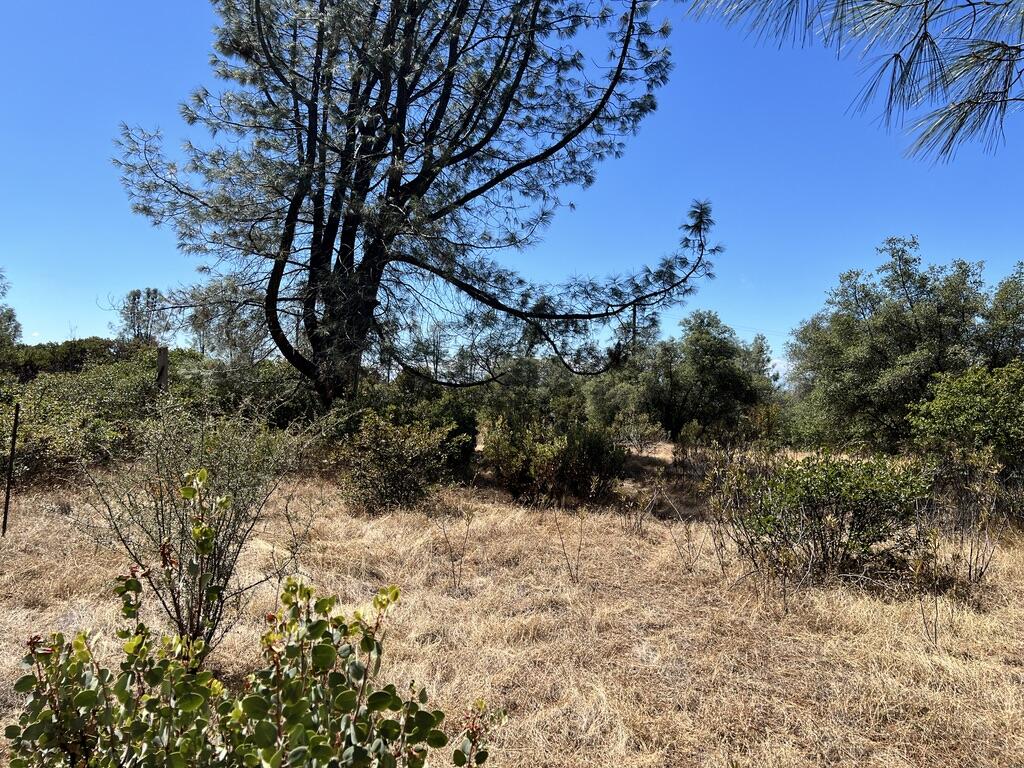 main property photo 11