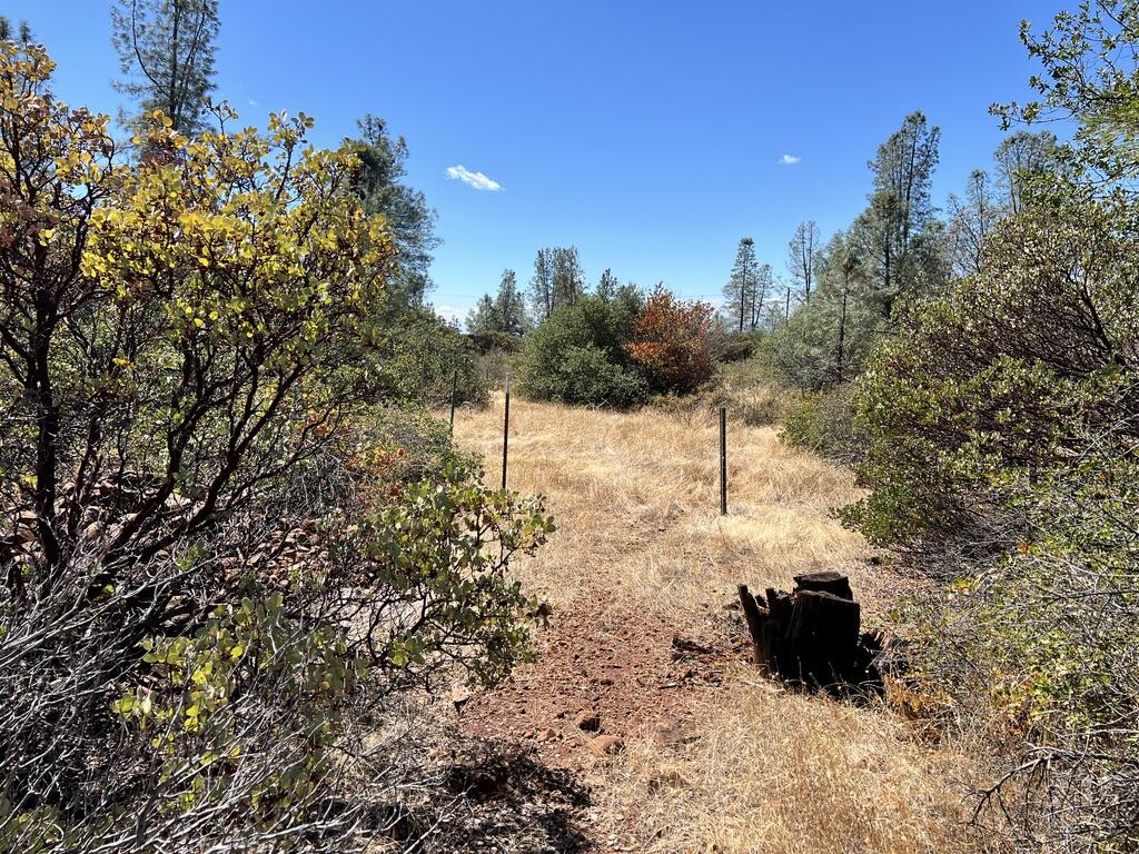 main property photo 16