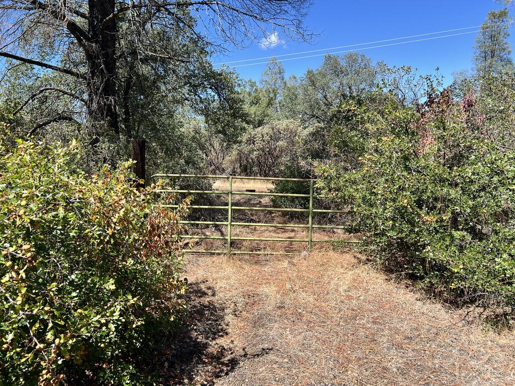 main property photo 25