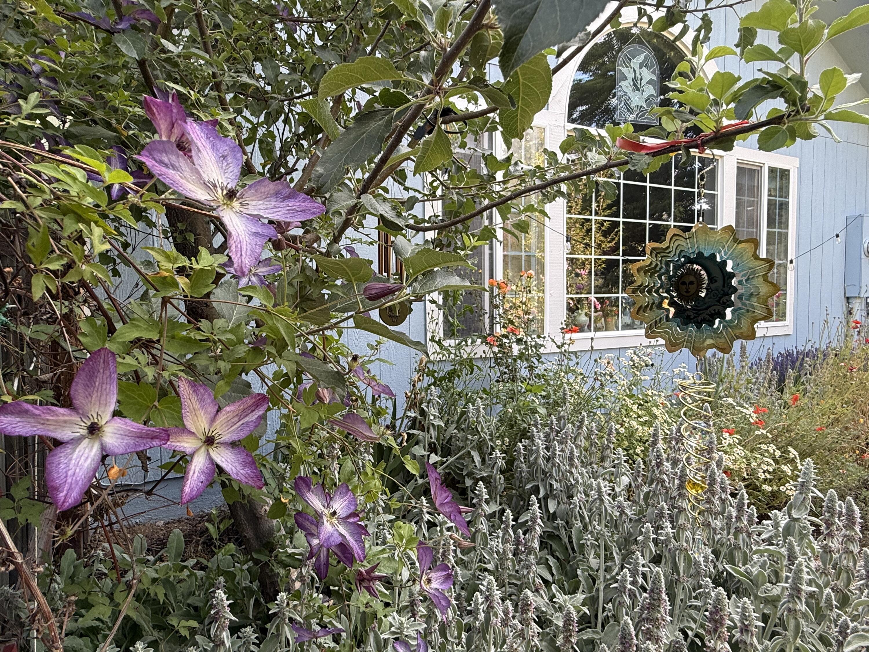 main property photo 34