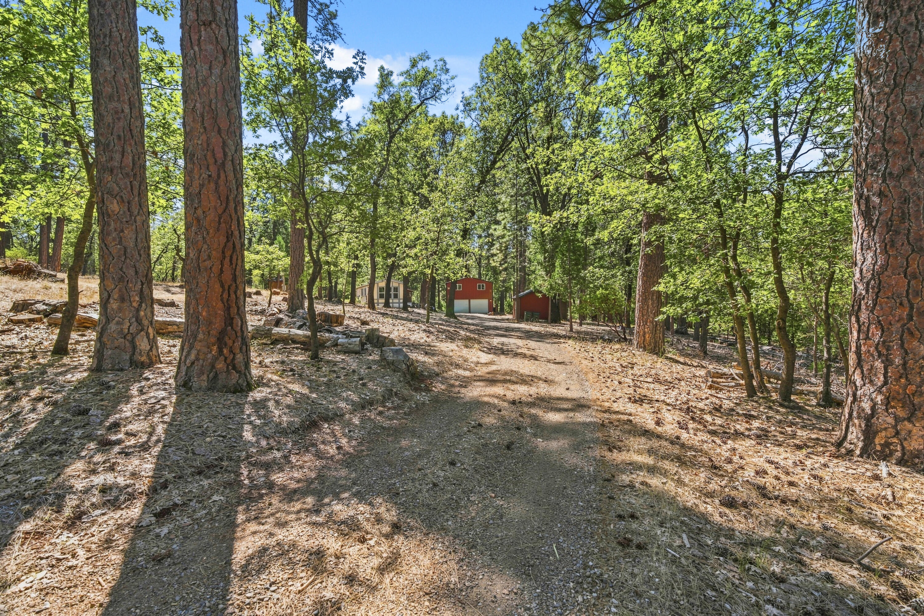 main property photo 41