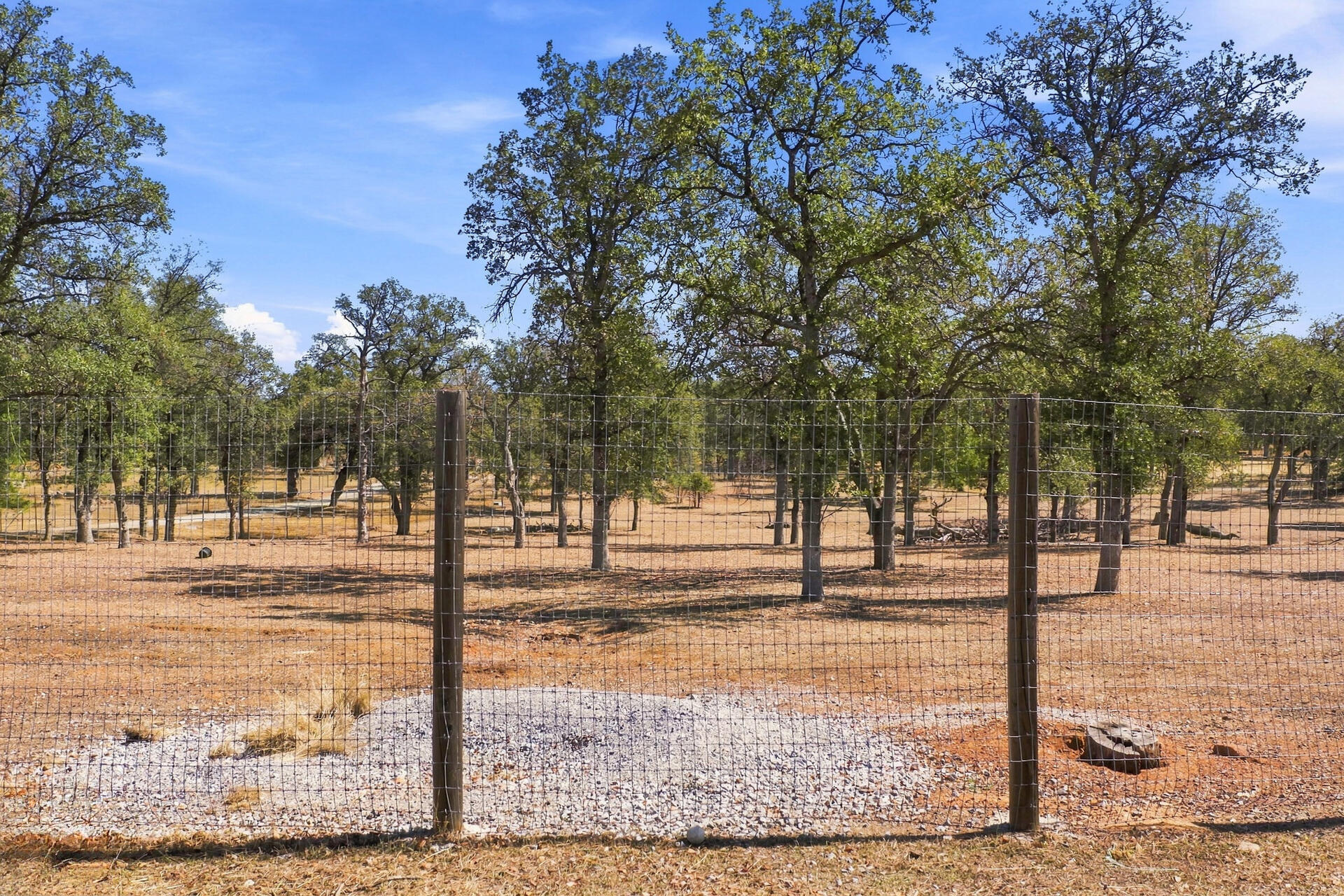 main property photo 41