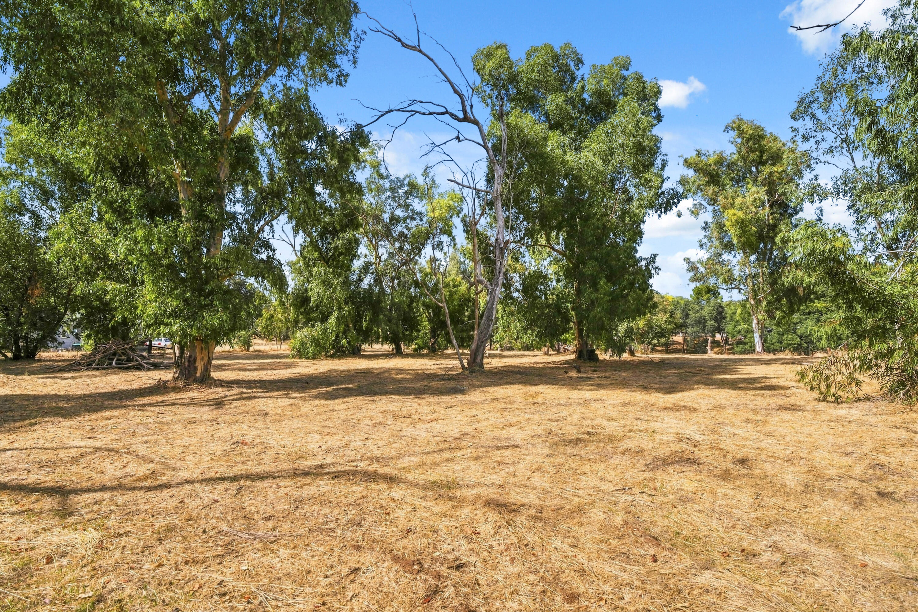 main property photo 47