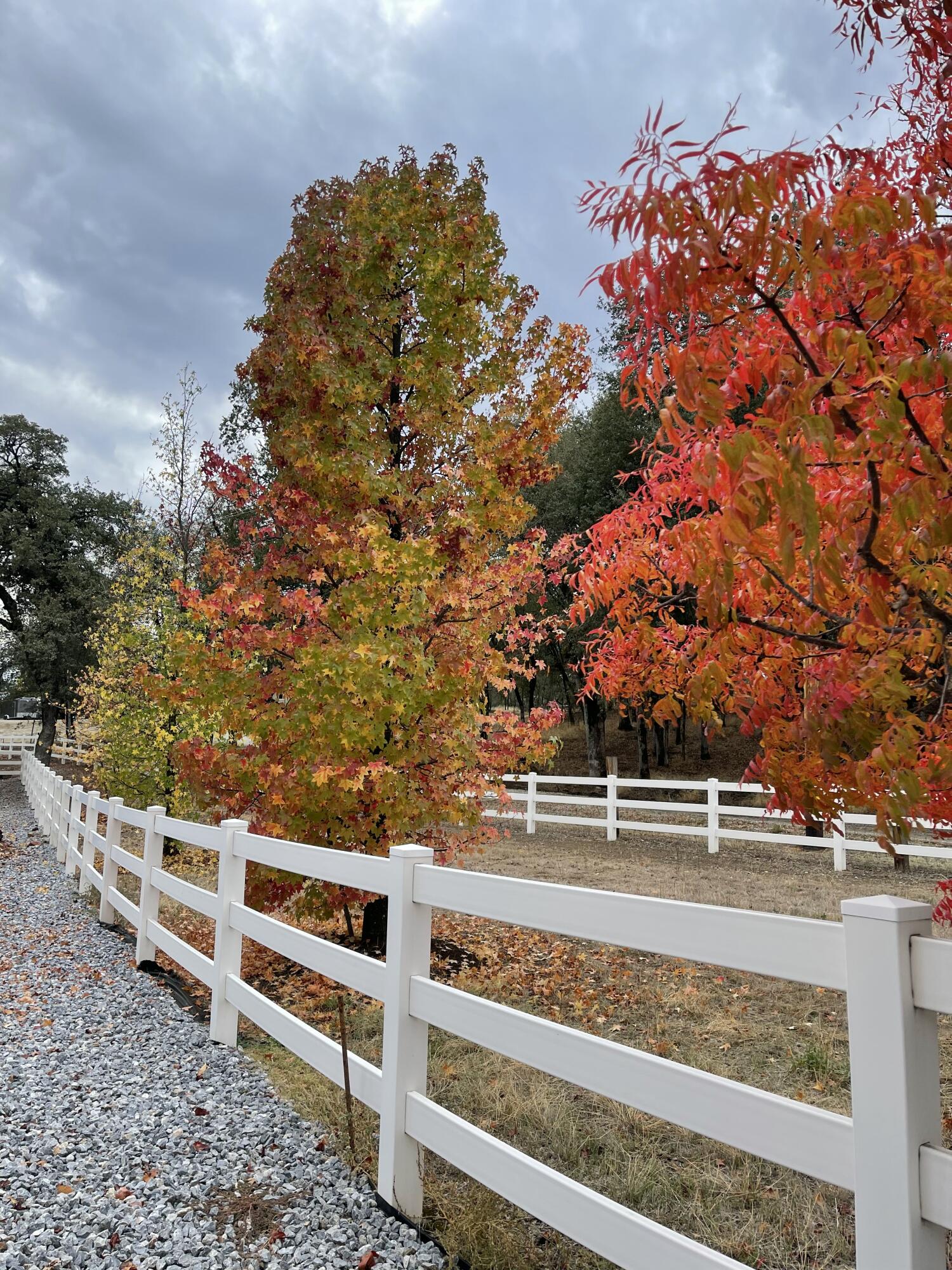 main property photo 47