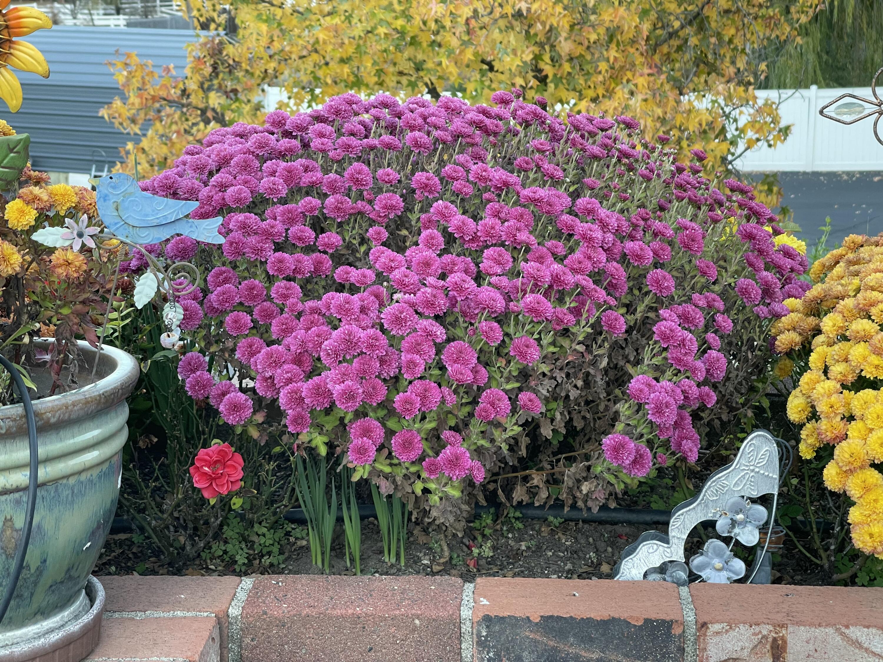 main property photo 52