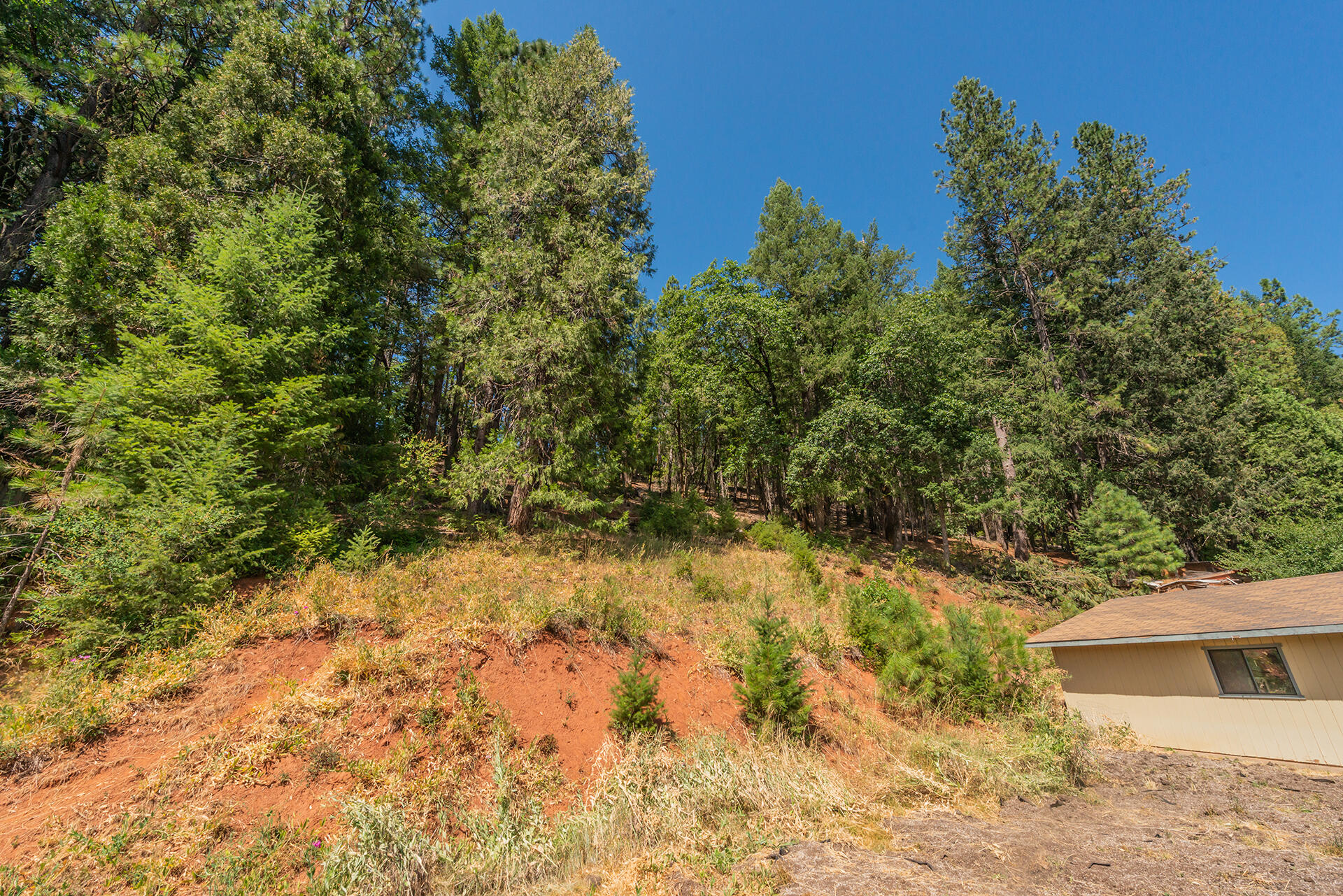 main property photo 125
