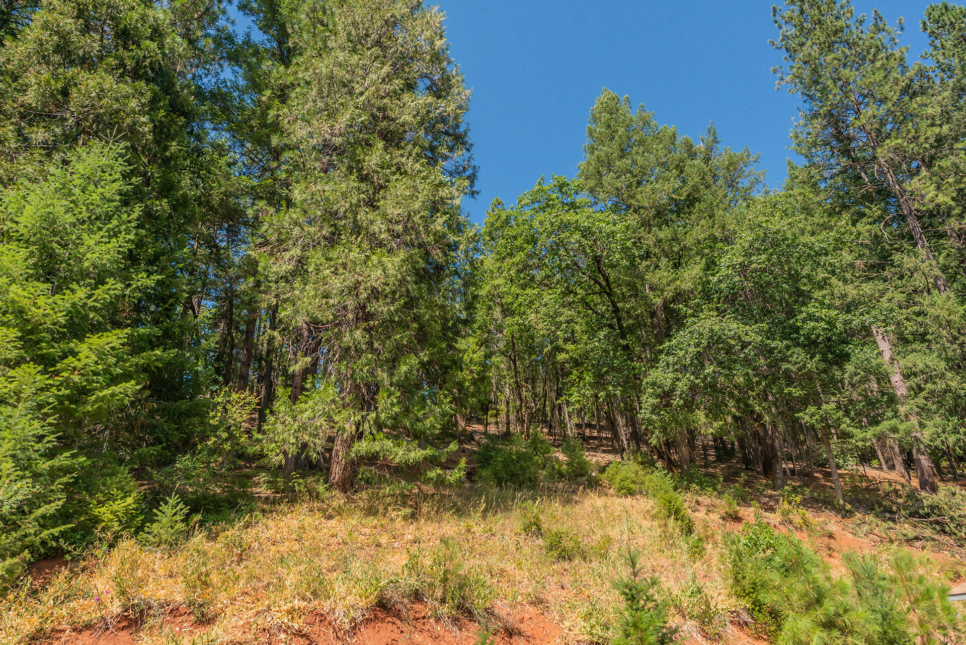 main property photo 126
