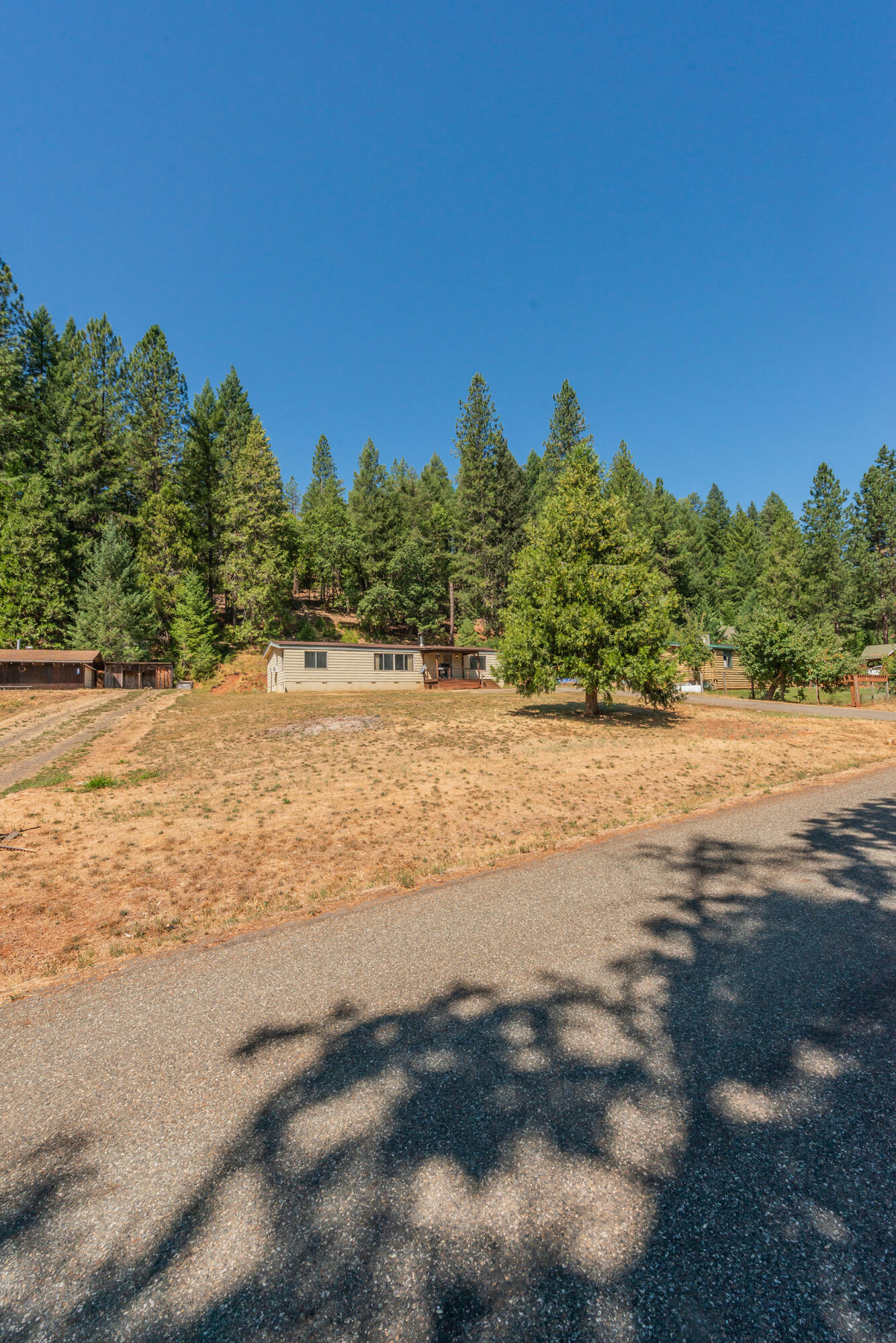 main property photo 91