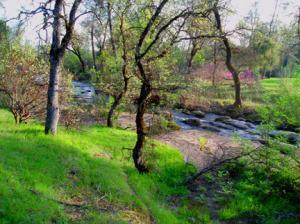 main property photo 134