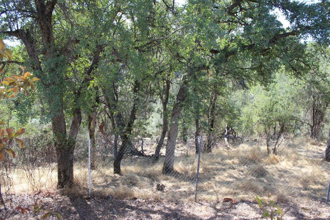 main property photo 55
