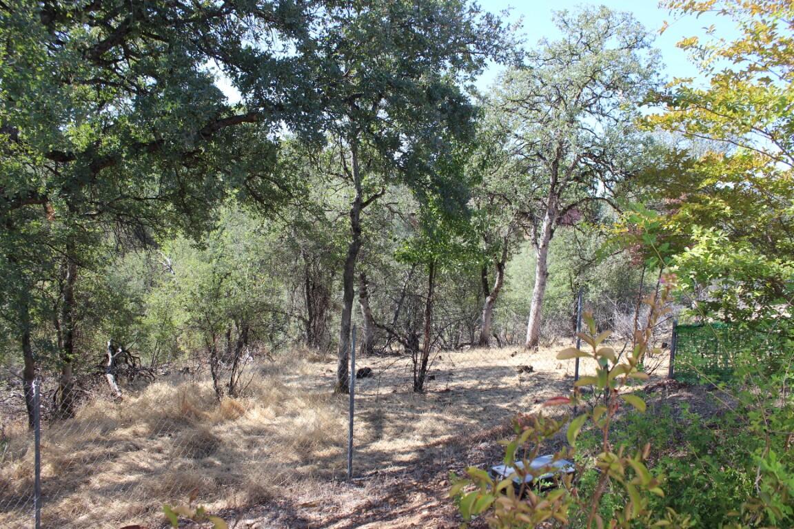 main property photo 56