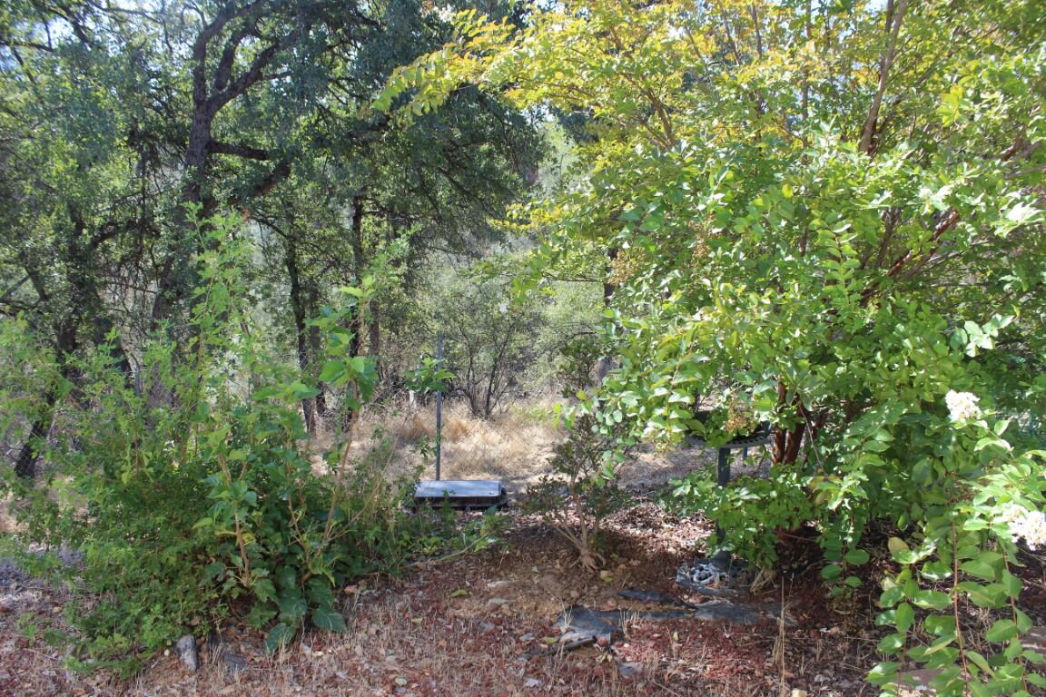 main property photo 57