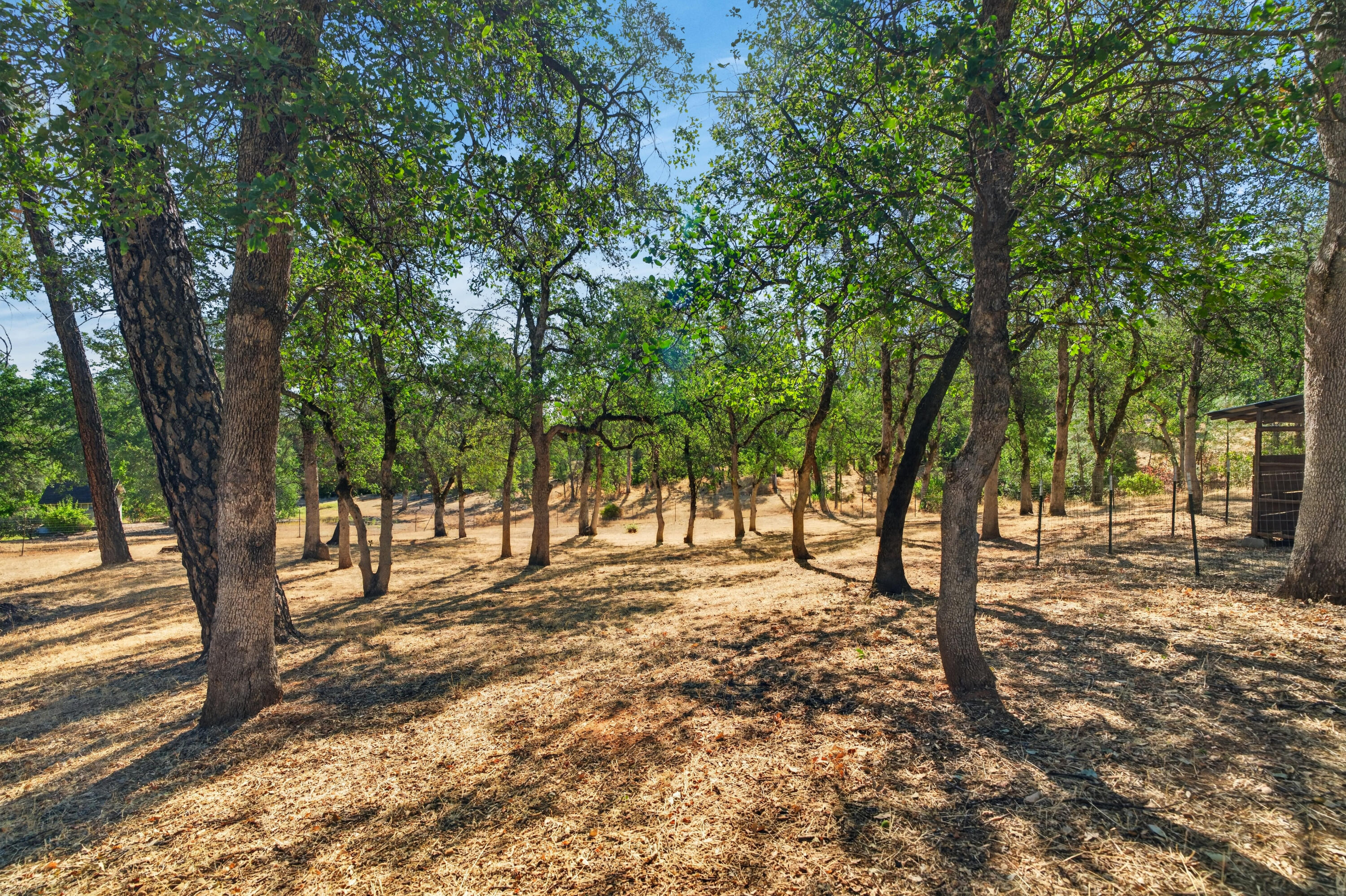main property photo 57
