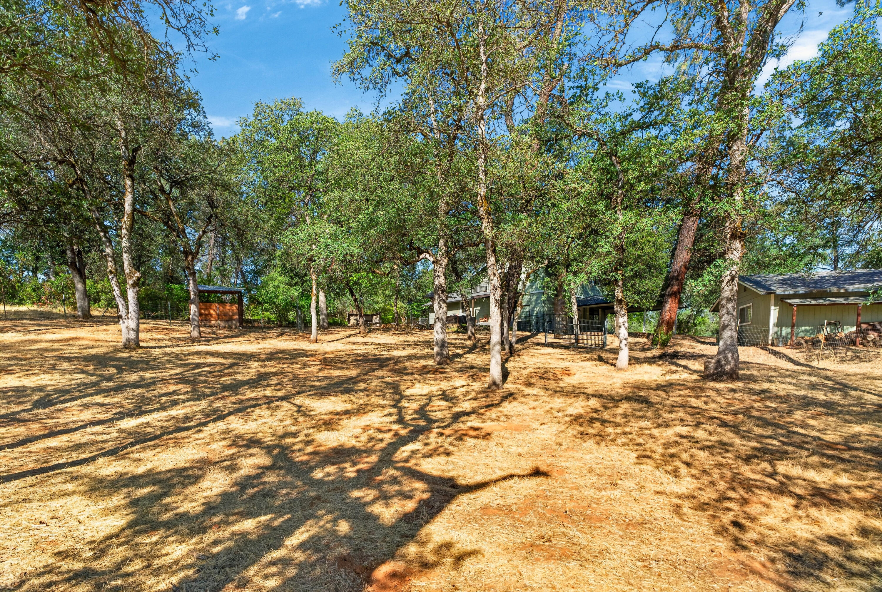 main property photo 58