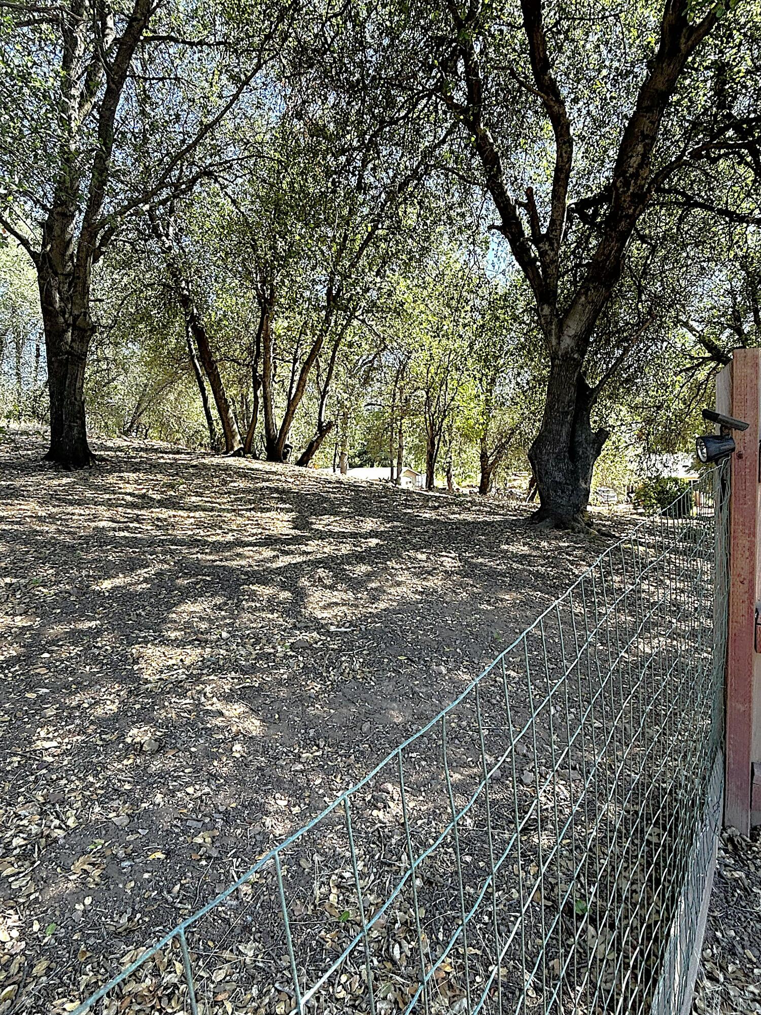 main property photo 22