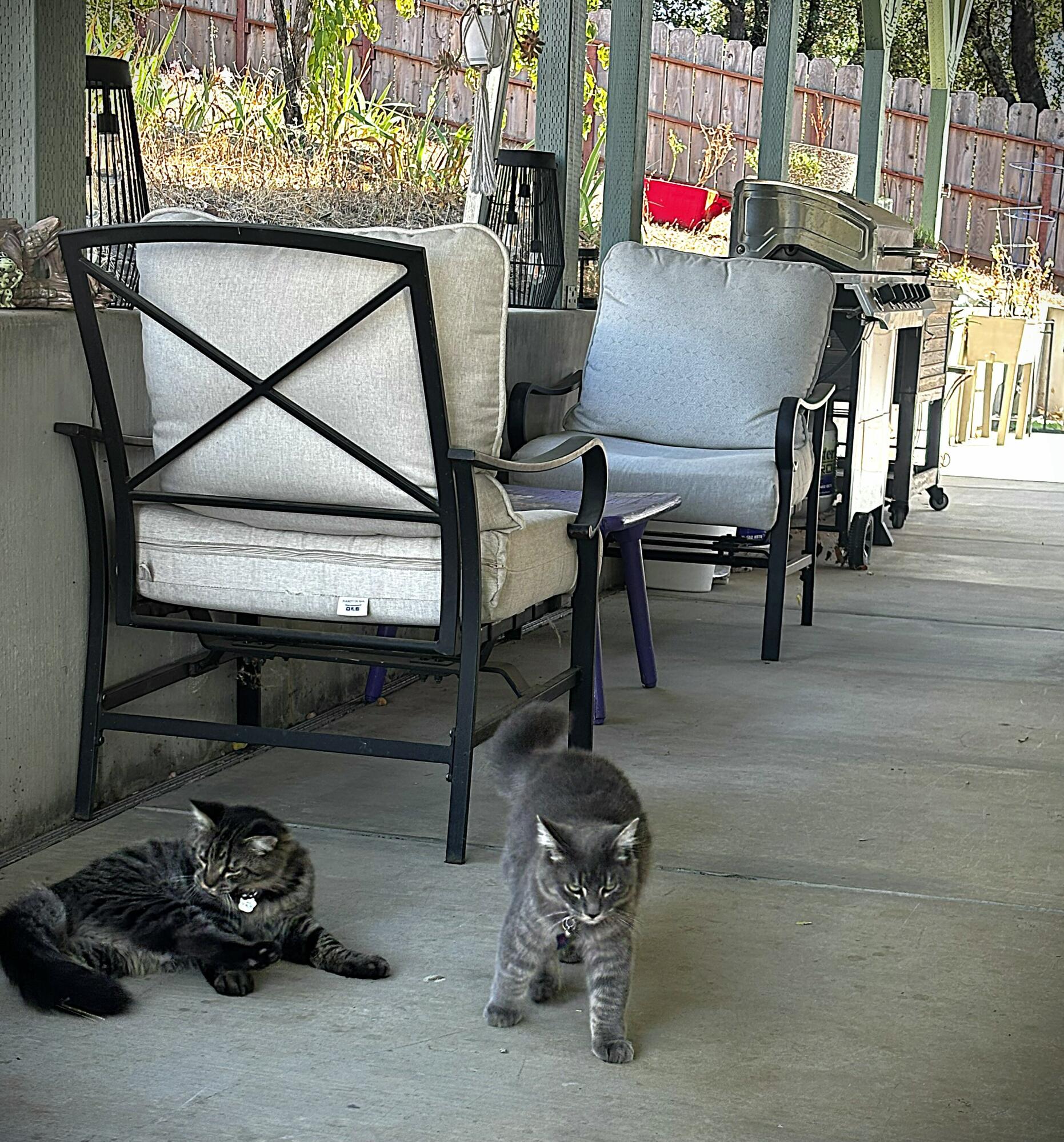 main property photo 31