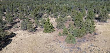 image of property with 0 Bed | 0 Bath | 0 Sqft