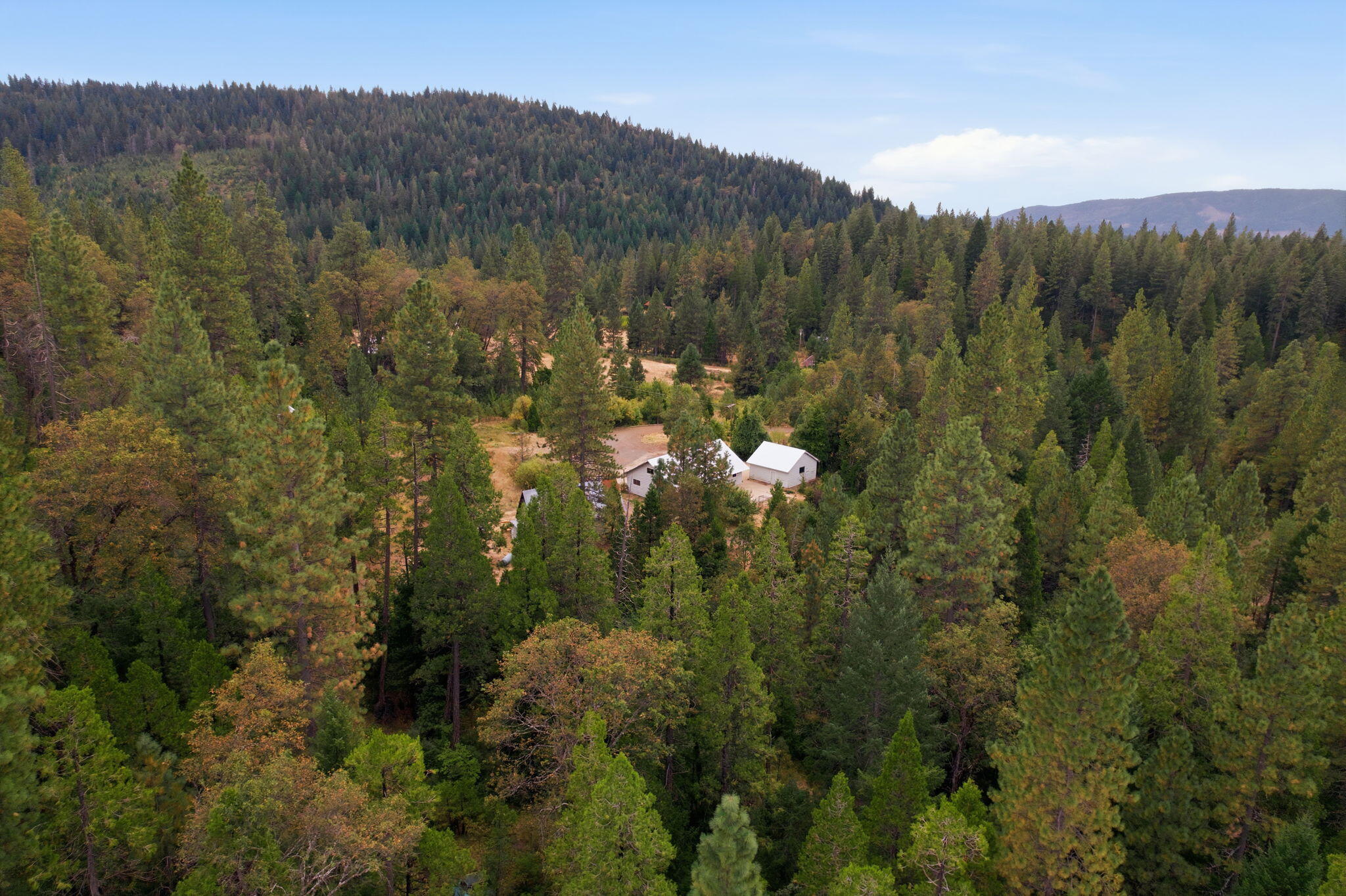 main property photo 61