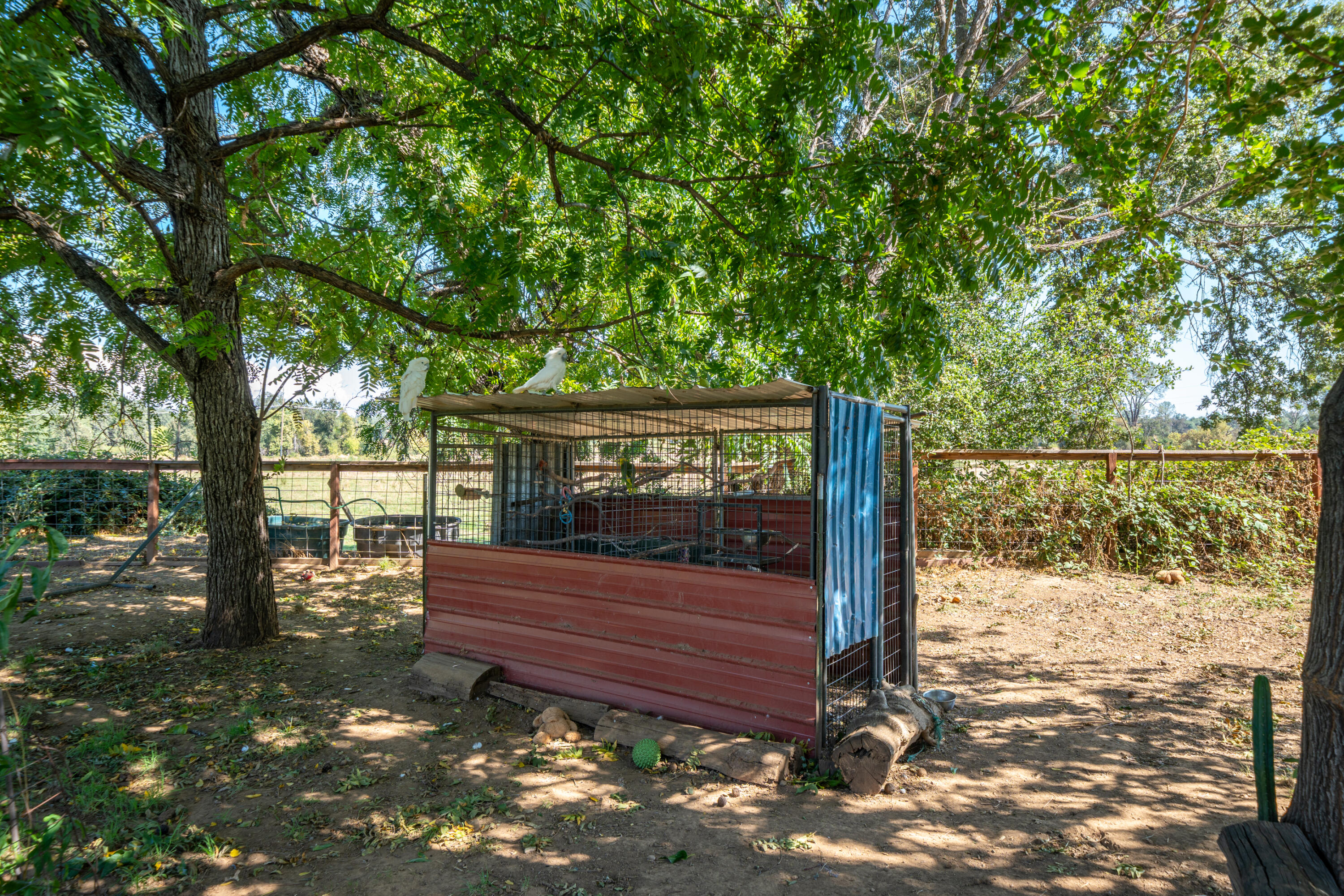 main property photo 29