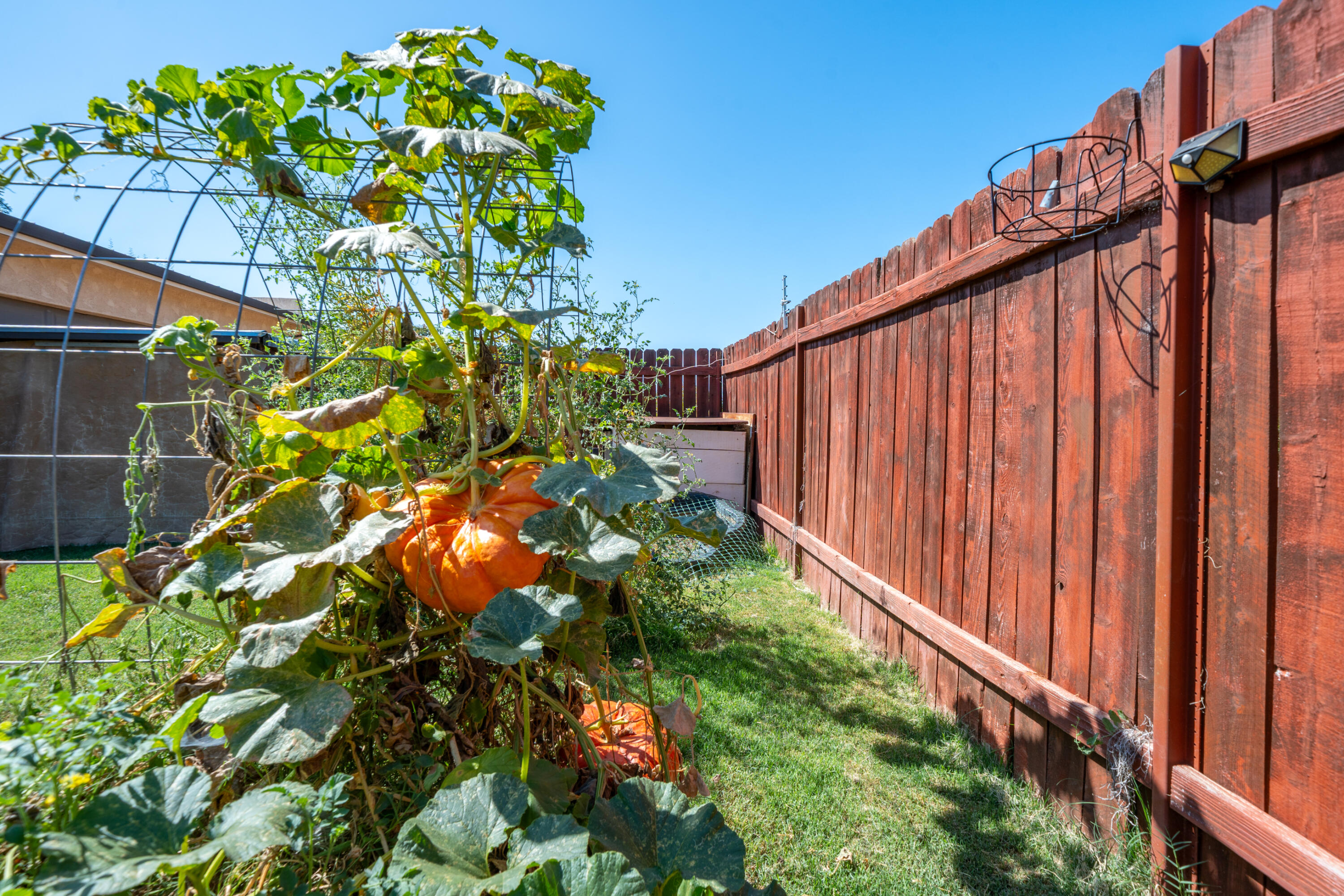 main property photo 31