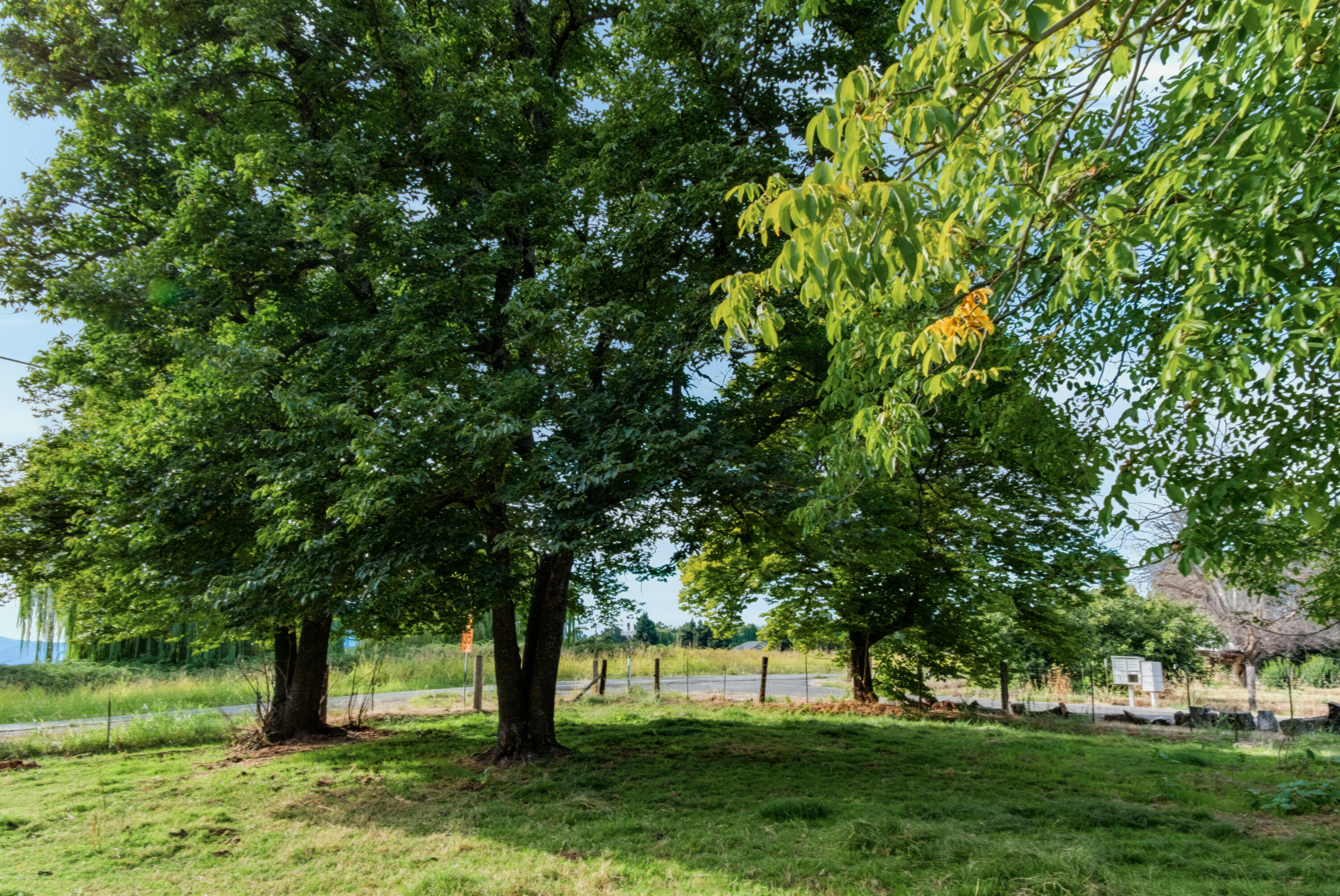 main property photo 40