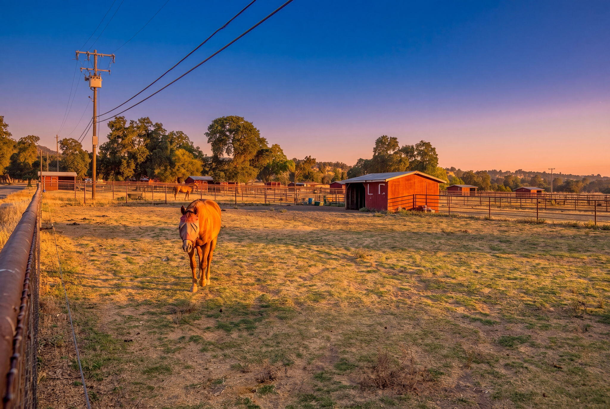 main property photo 63