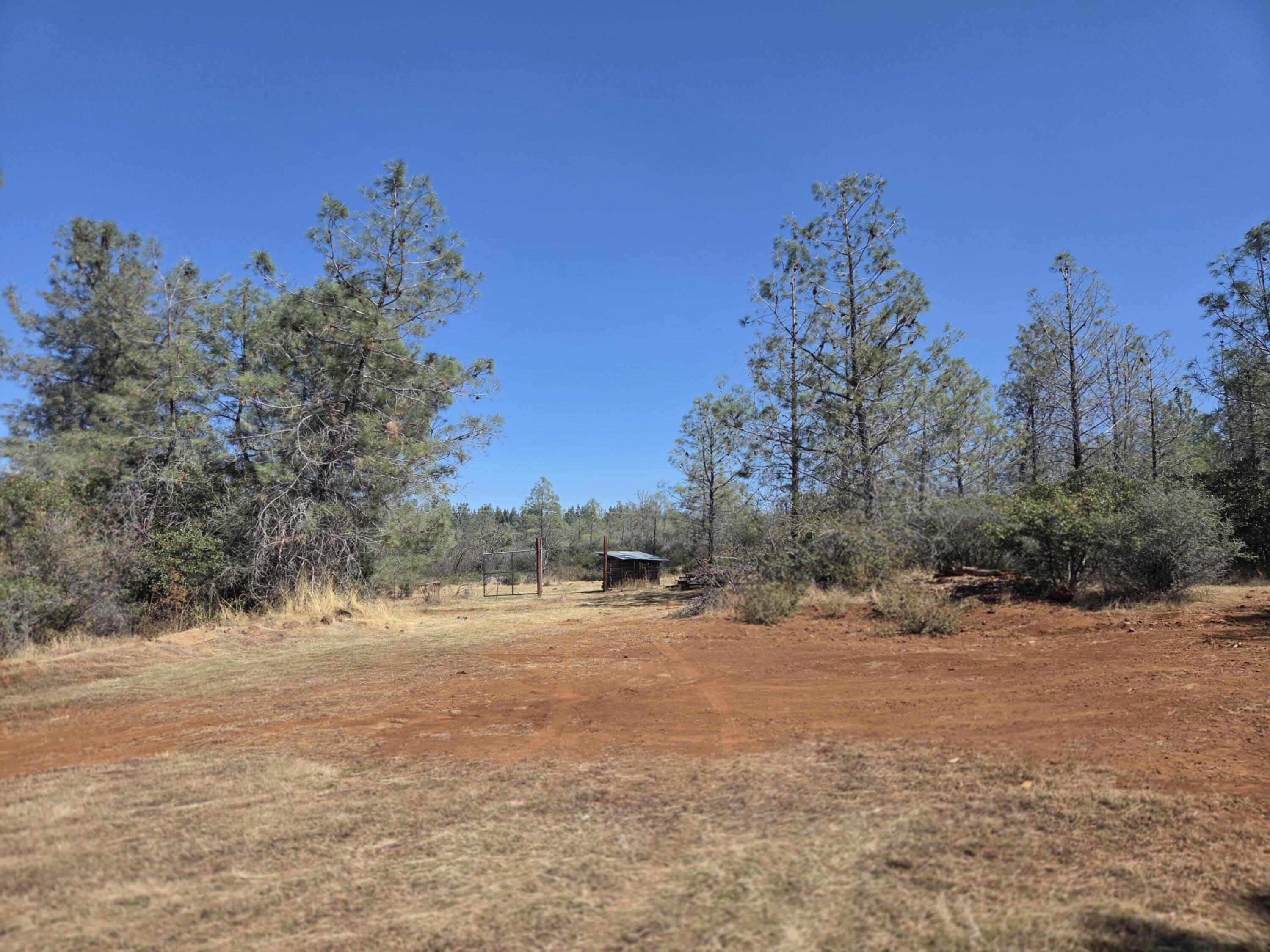 main property photo 41