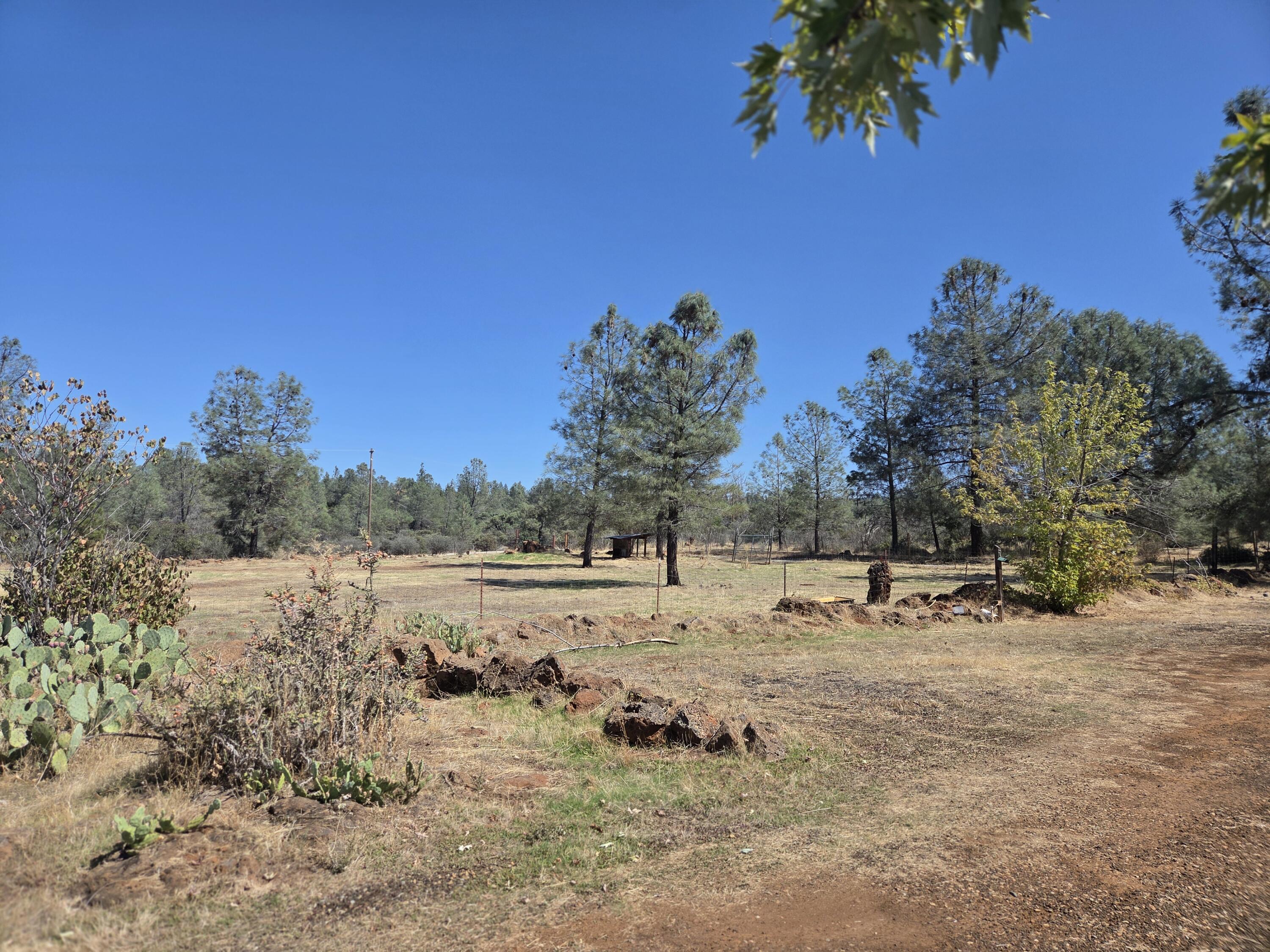 main property photo 42