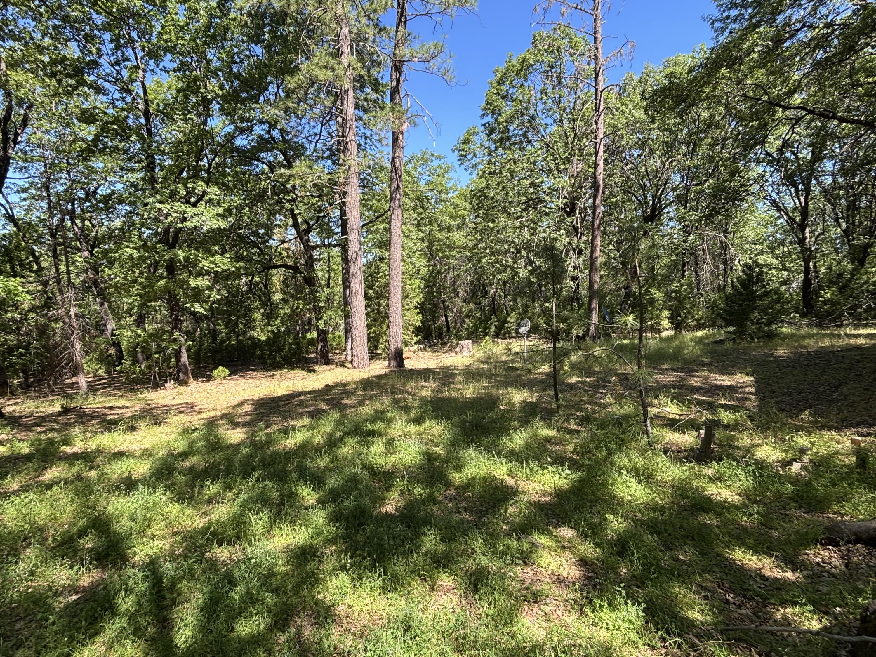 main property photo 13