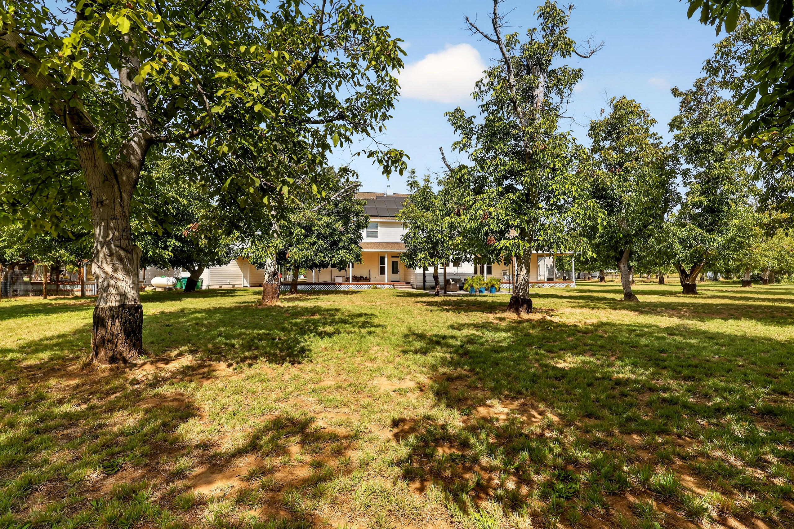 main property photo 67