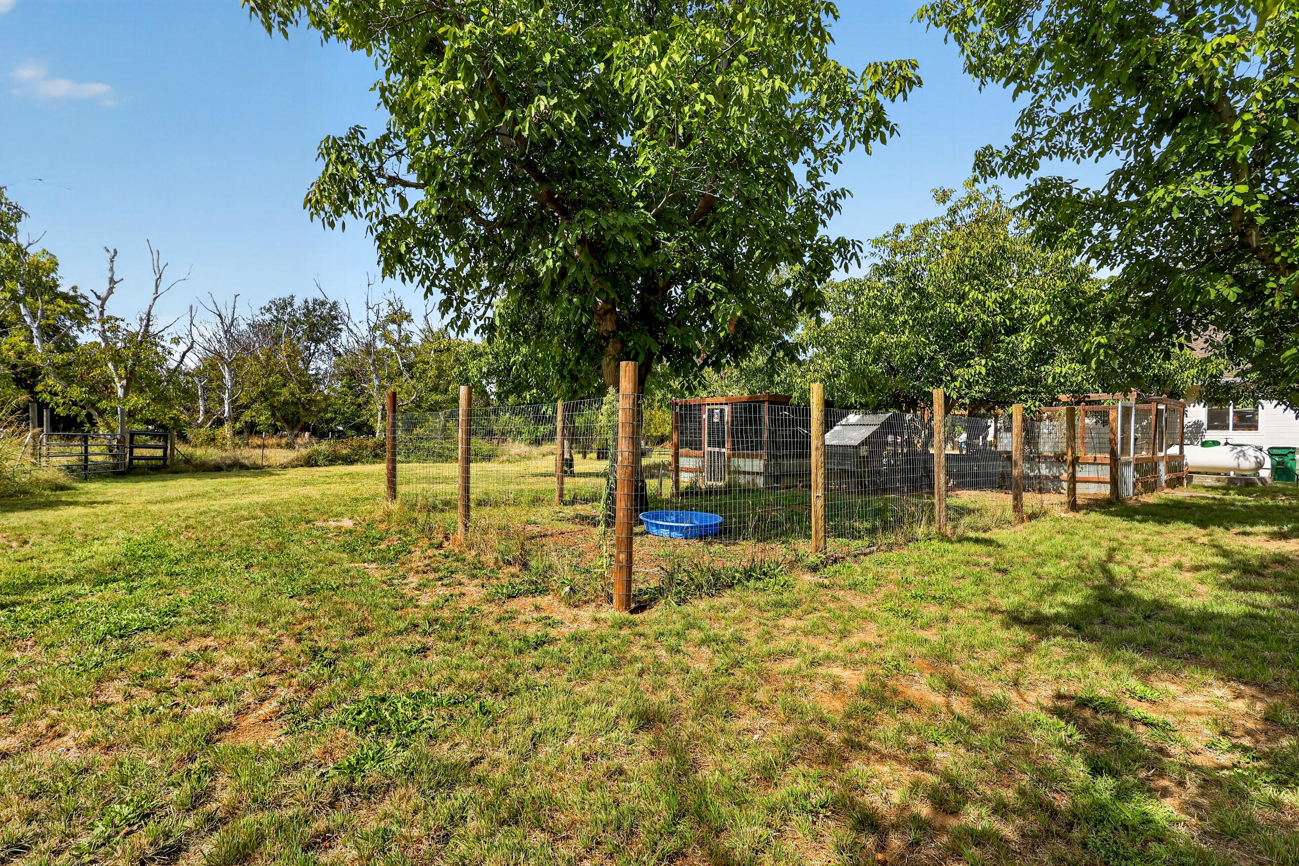 main property photo 70