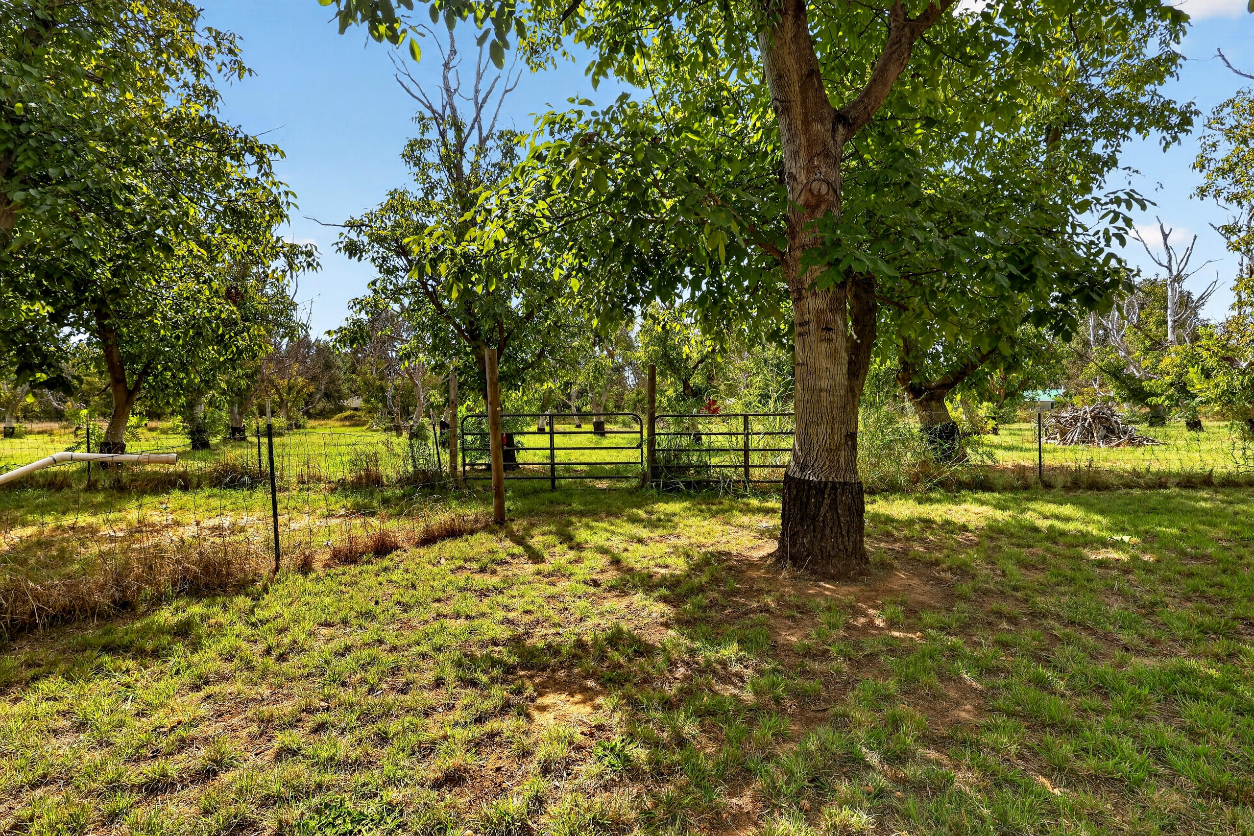 main property photo 73