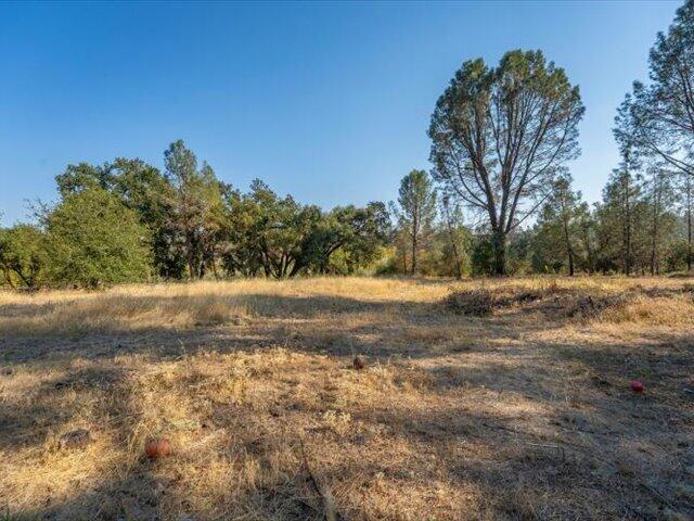 main property photo 71