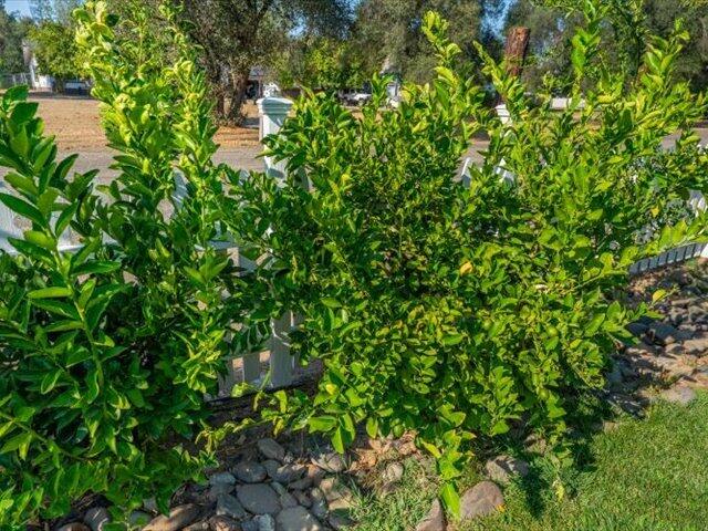 main property photo 73