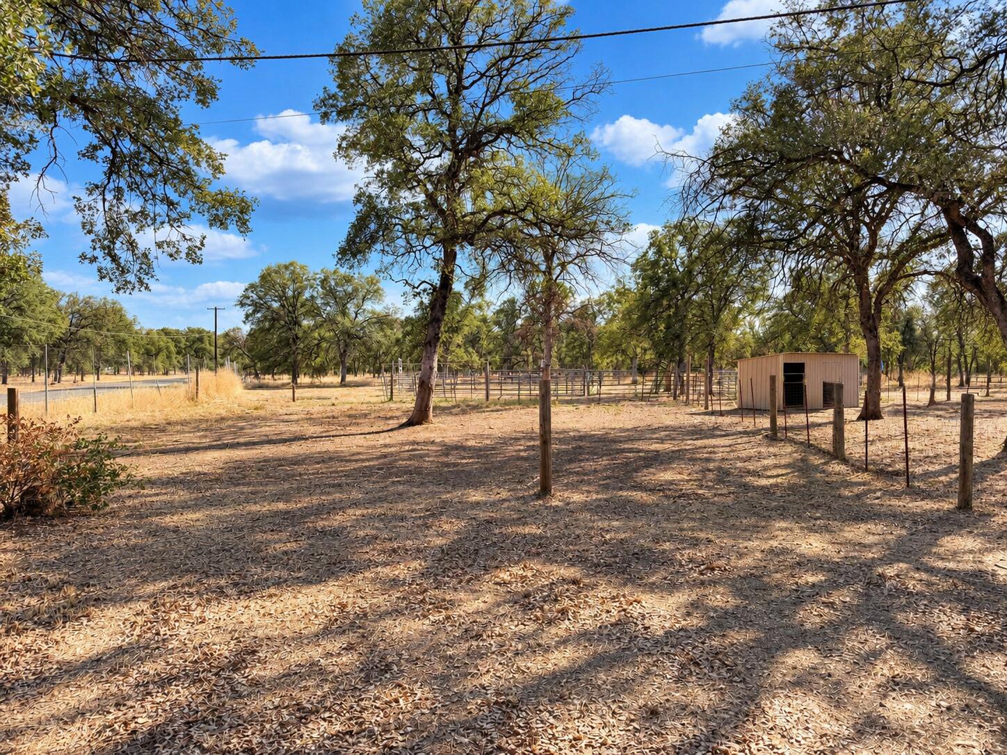 main property photo 9