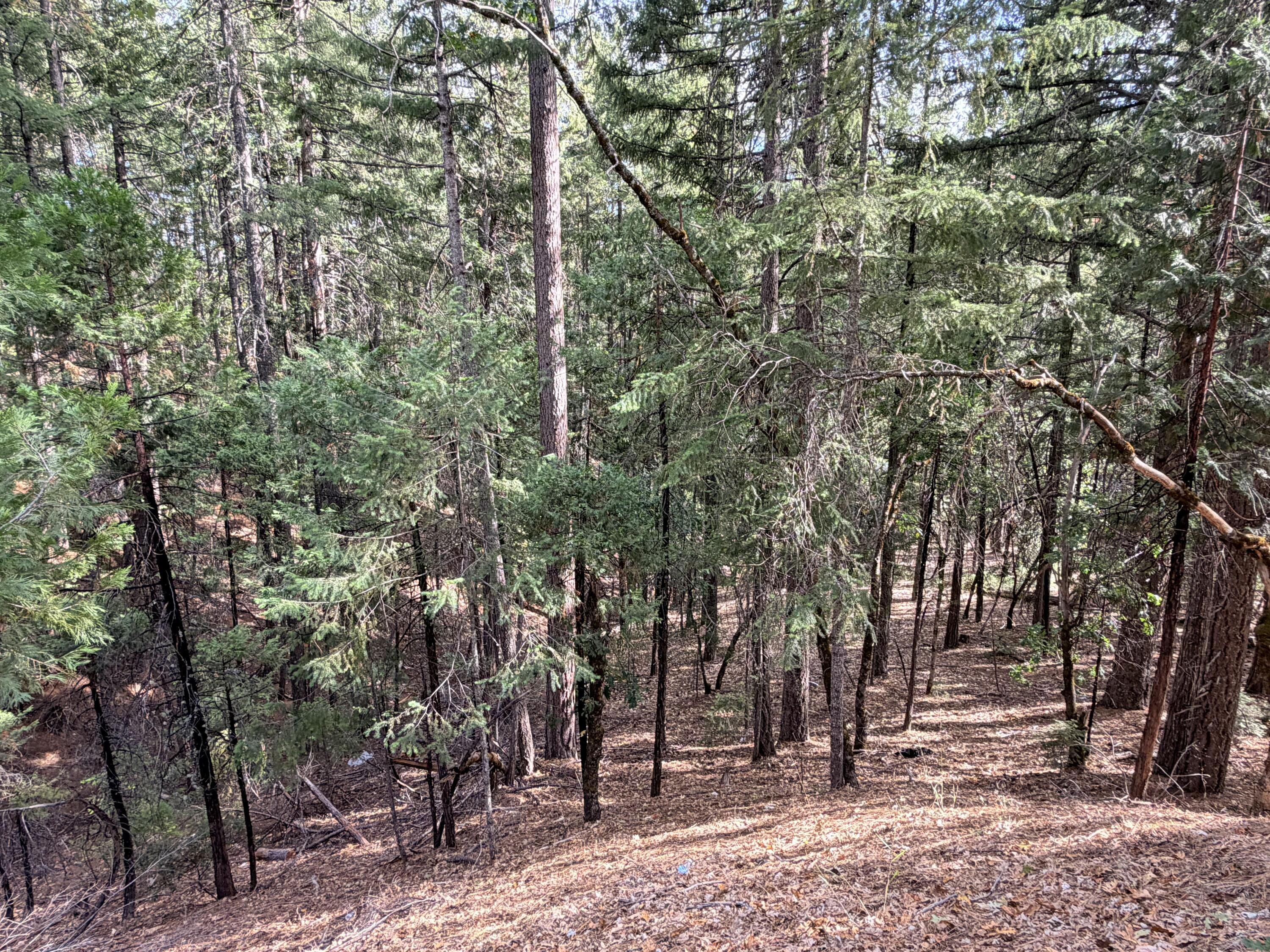 main property photo 44