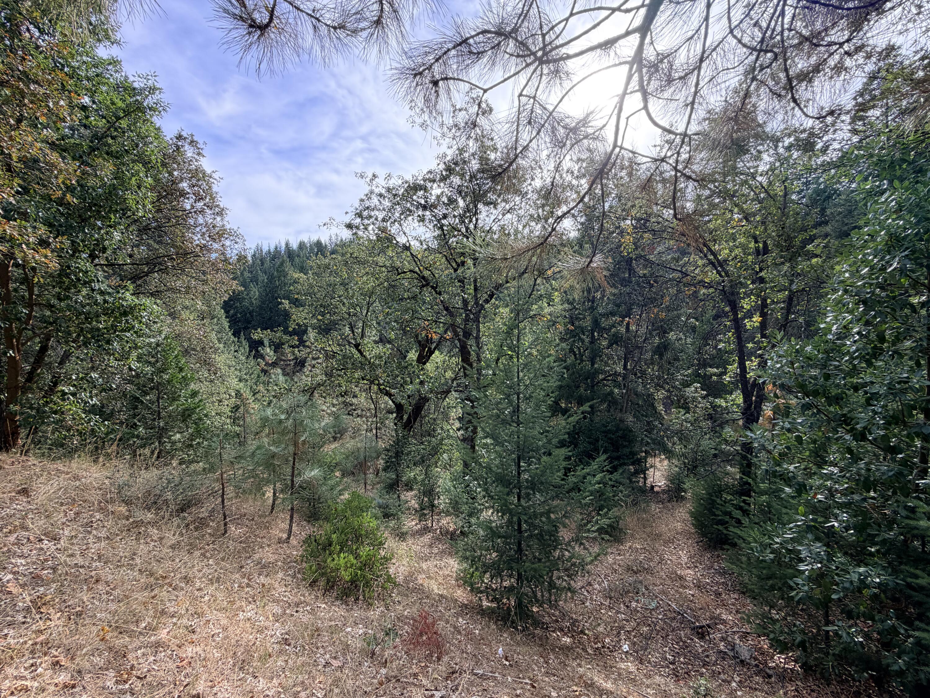 main property photo 47