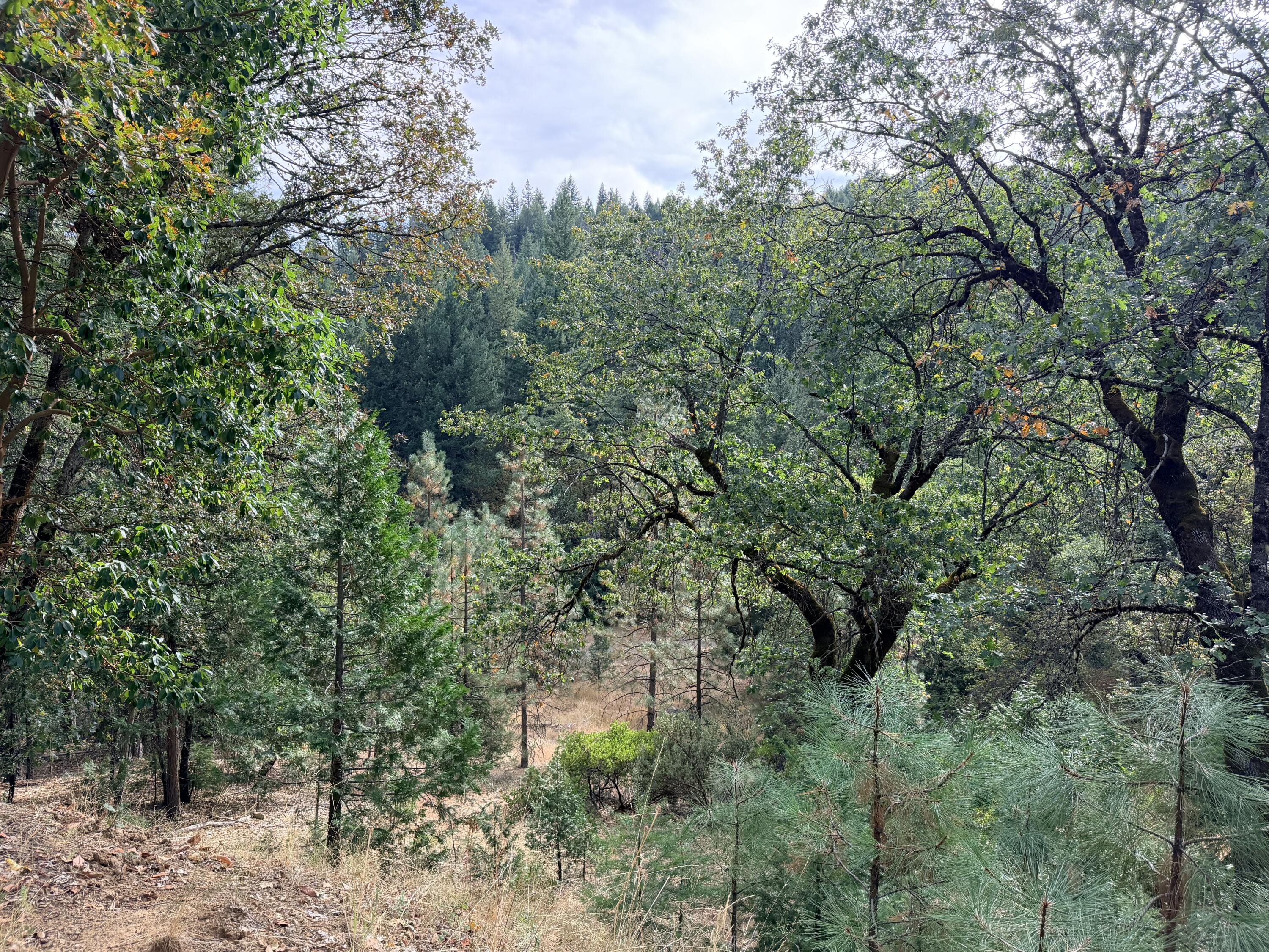 main property photo 48