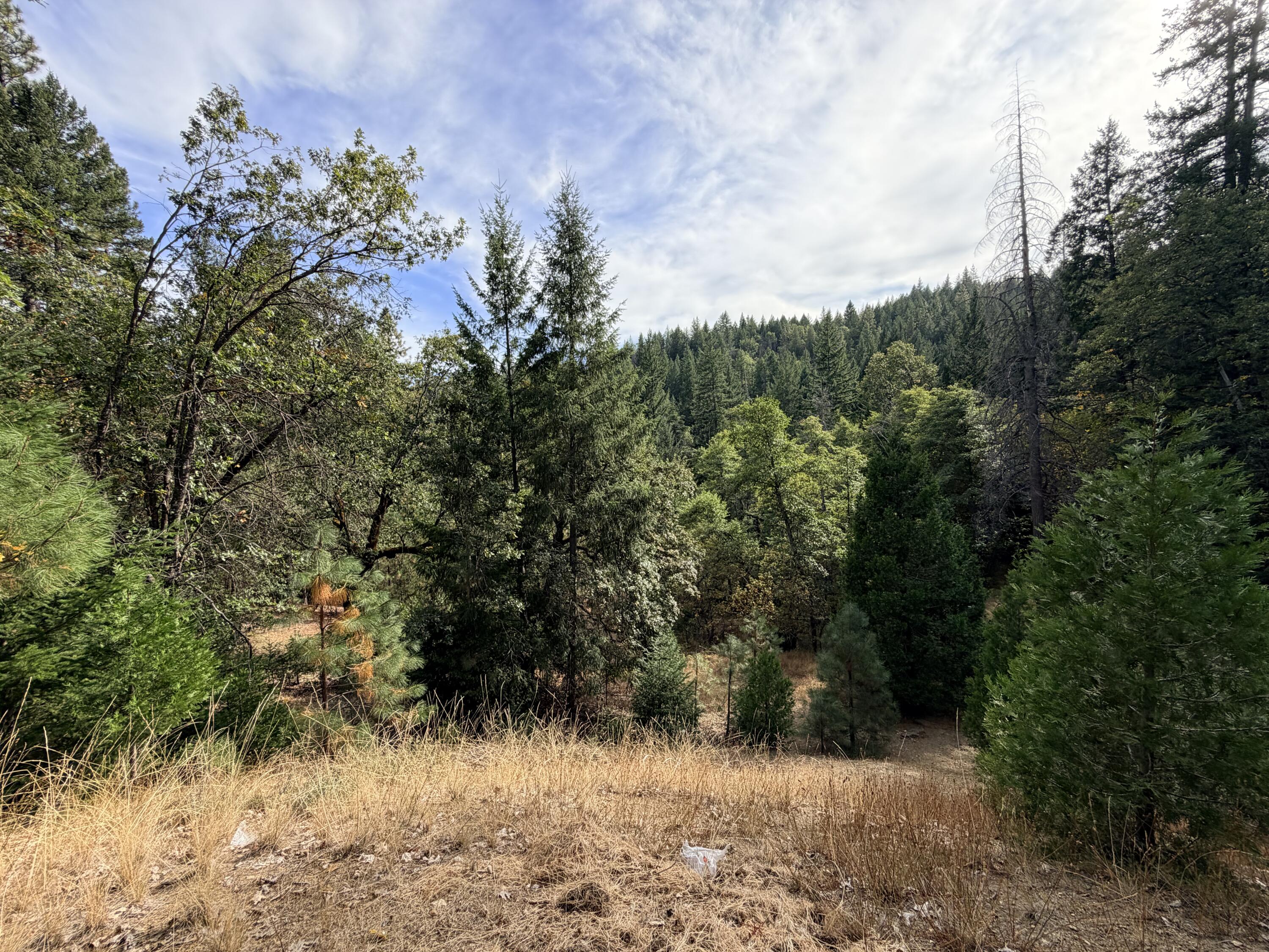 main property photo 50