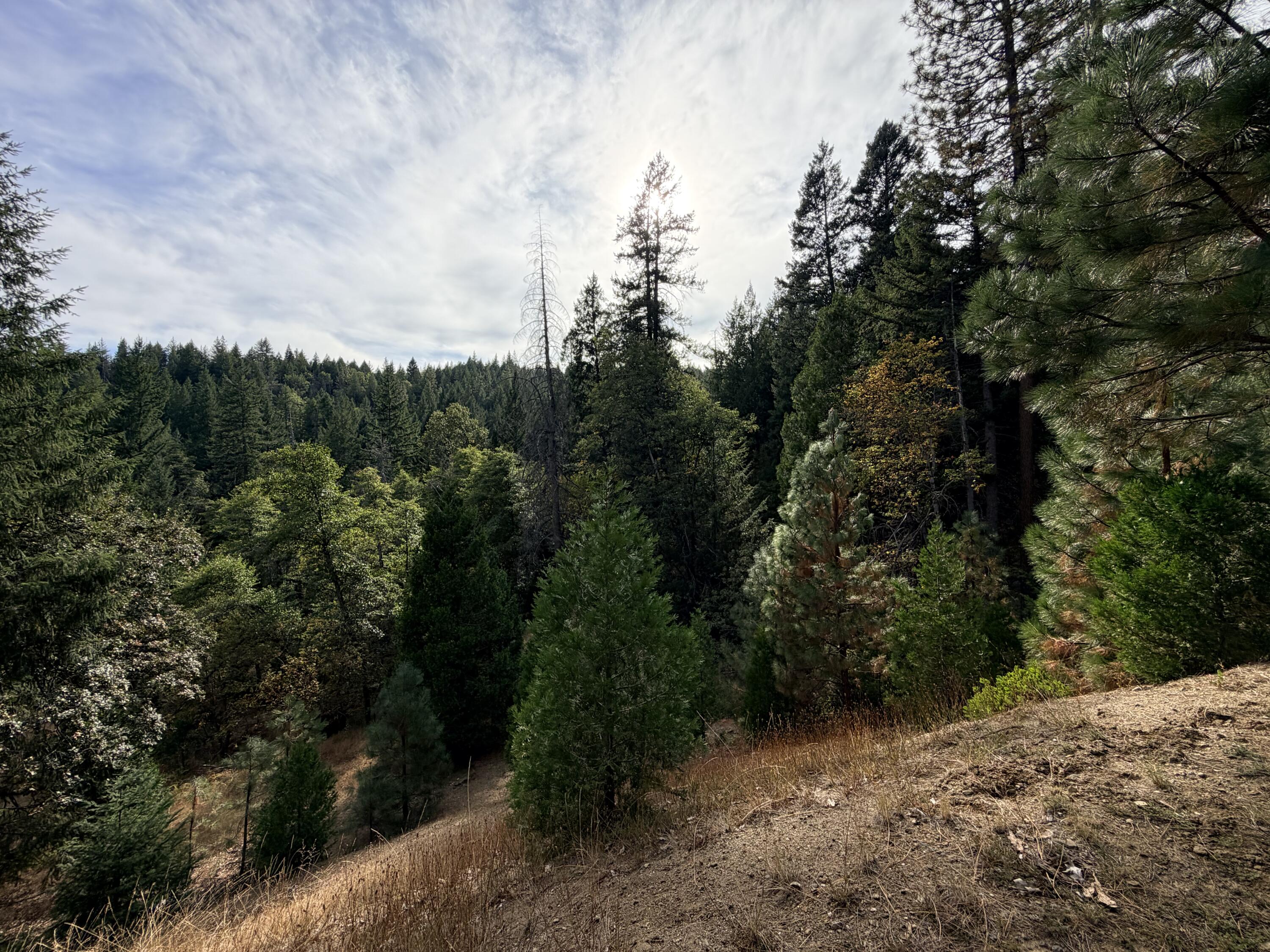 main property photo 51