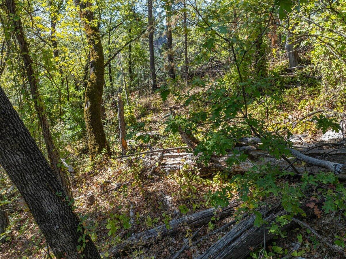 main property photo 60