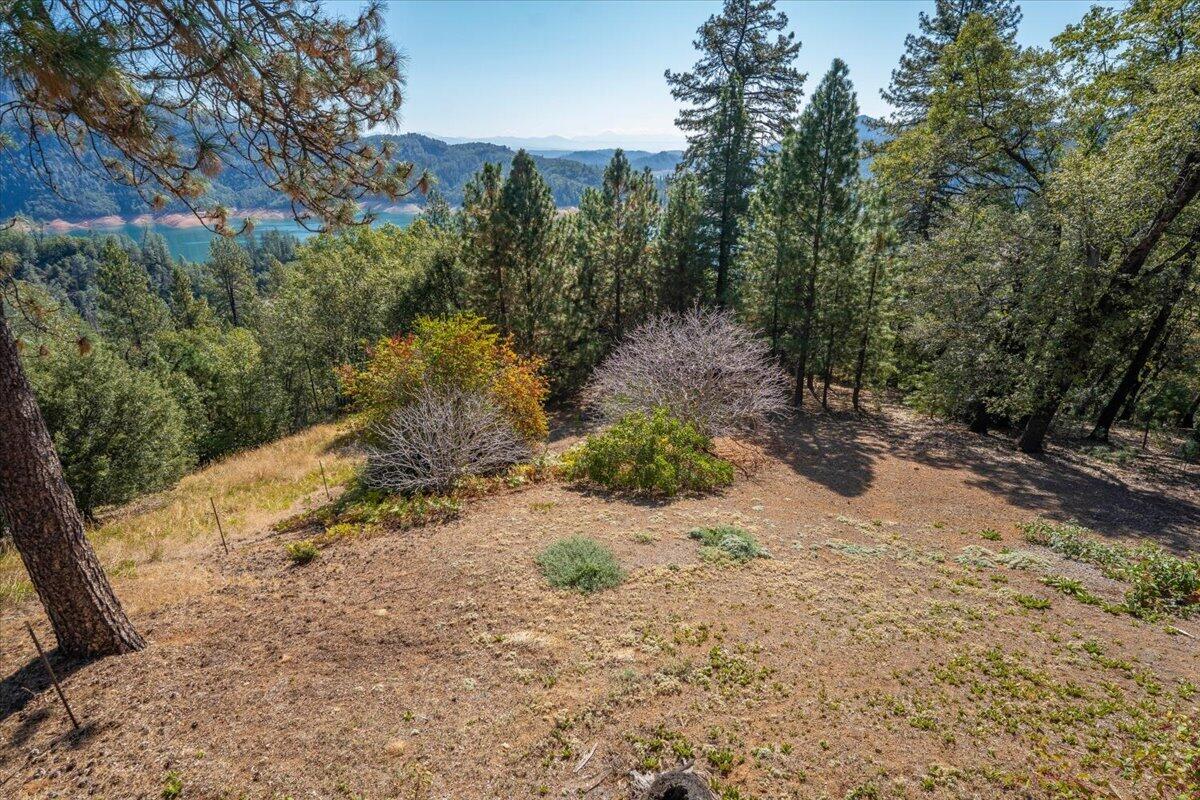 main property photo 61