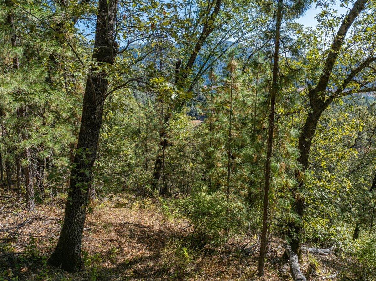main property photo 62